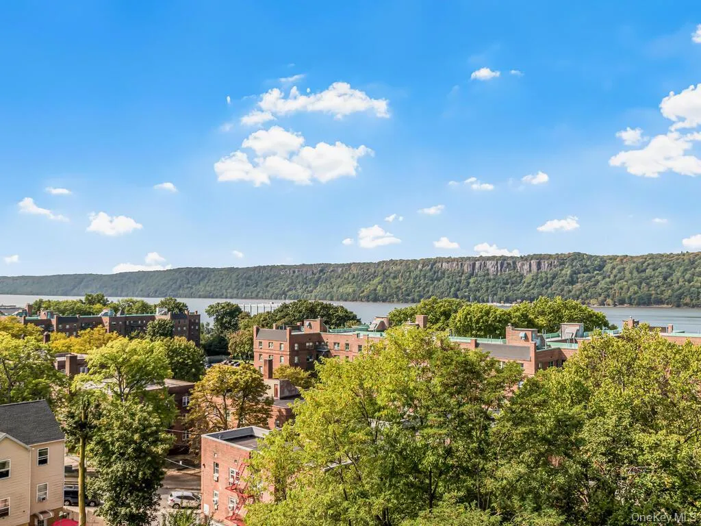 Bird's eye view of a nearby body of water and a heavily wooded area Bird's eye view of a nearby body of water and a heavily wooded area