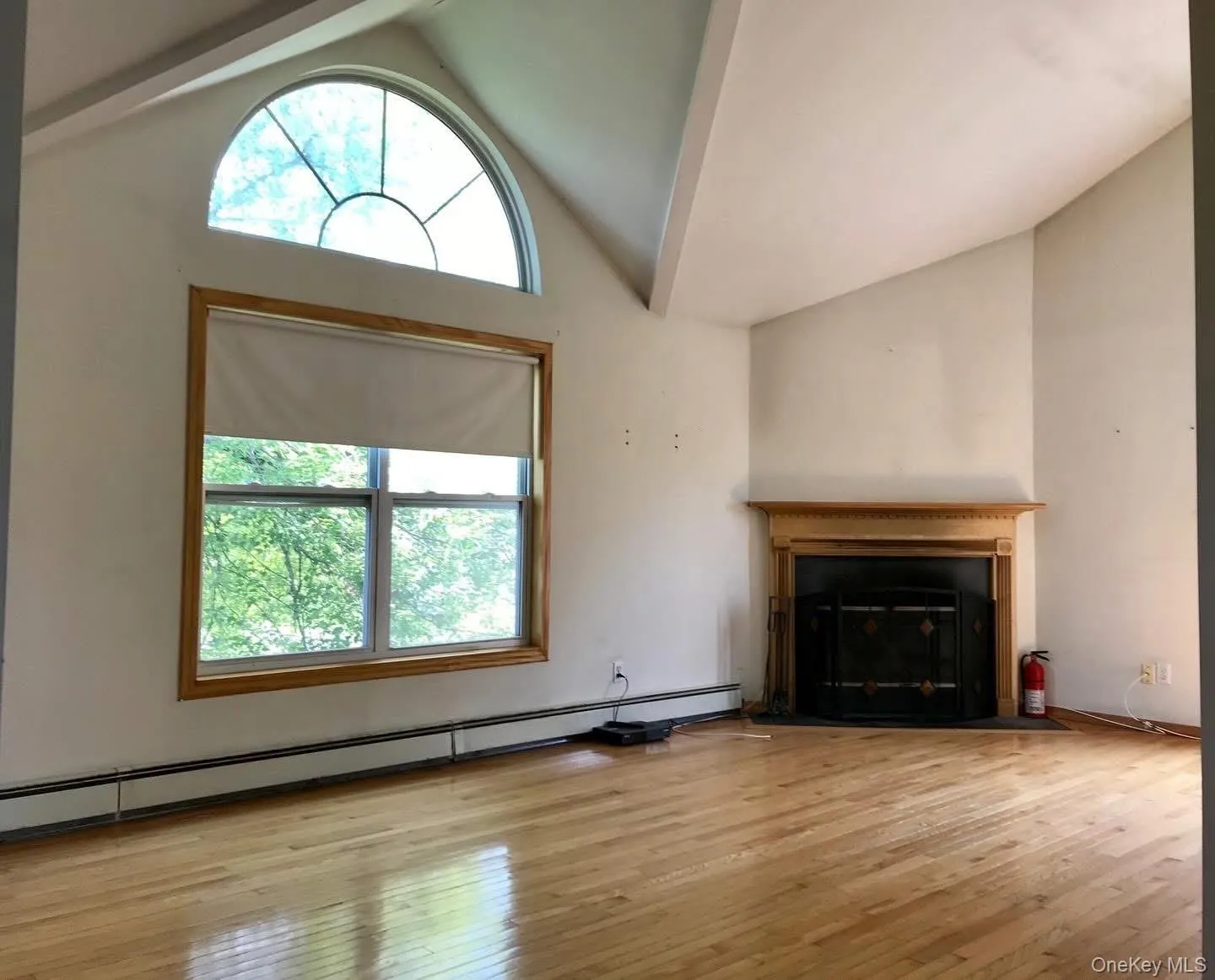 Unfurnished living room with a baseboard radiator, a fireplace, light wood-style floors, and high vaulted ceiling Unfurnished living room with a baseboard radiator, a fireplace, light wood-style floors, and high vaulted ceiling