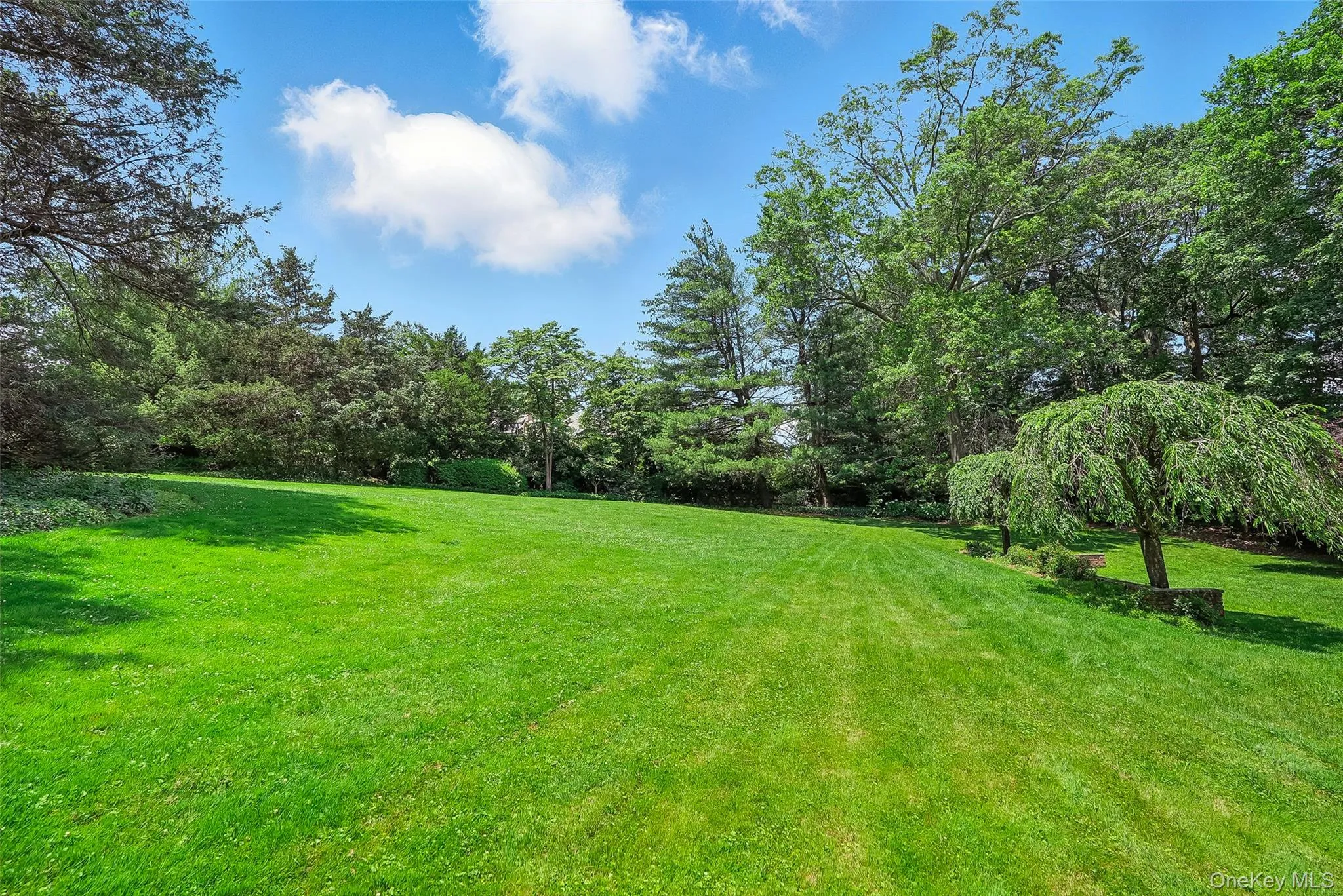 6 Club Road, Rye City, NY, 4 Bedrooms Bedrooms, 10 Rooms Rooms,3 BathroomsBathrooms,Residential Lease,Idx,Club,0,942741 6 Club Road, Rye City, NY, 4 Bedrooms Bedrooms, 10 Rooms Rooms,3 BathroomsBathrooms,Residential Lease,Idx,Club,0,942741