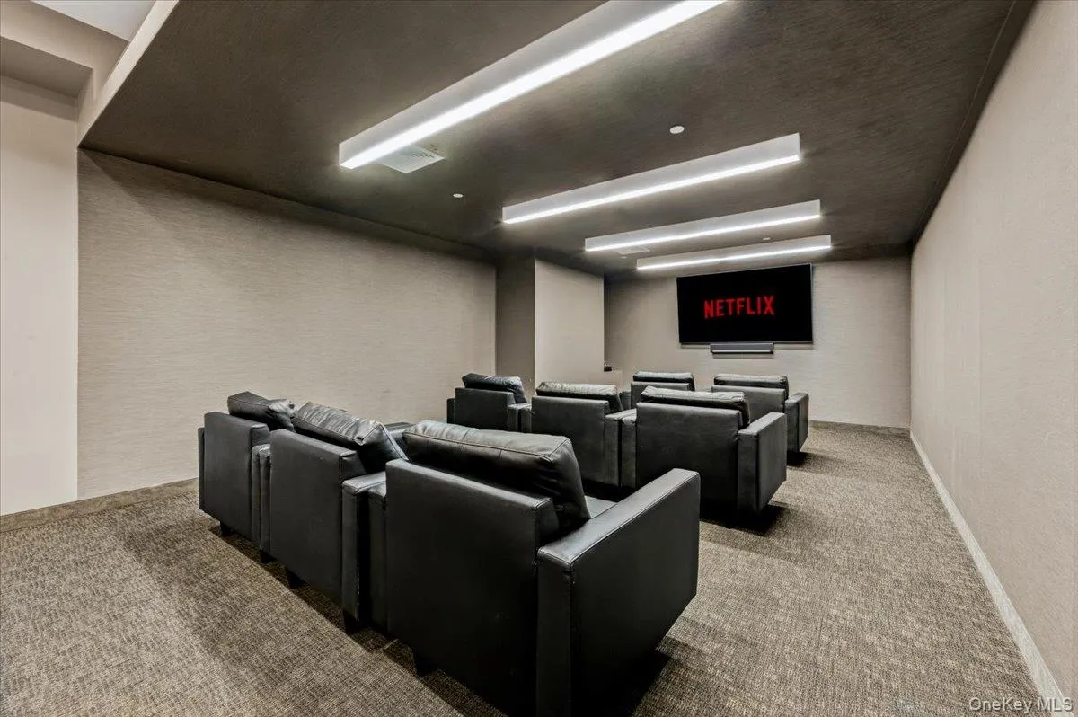 Carpeted cinema room featuring baseboards and a textured wall Carpeted cinema room featuring baseboards and a textured wall