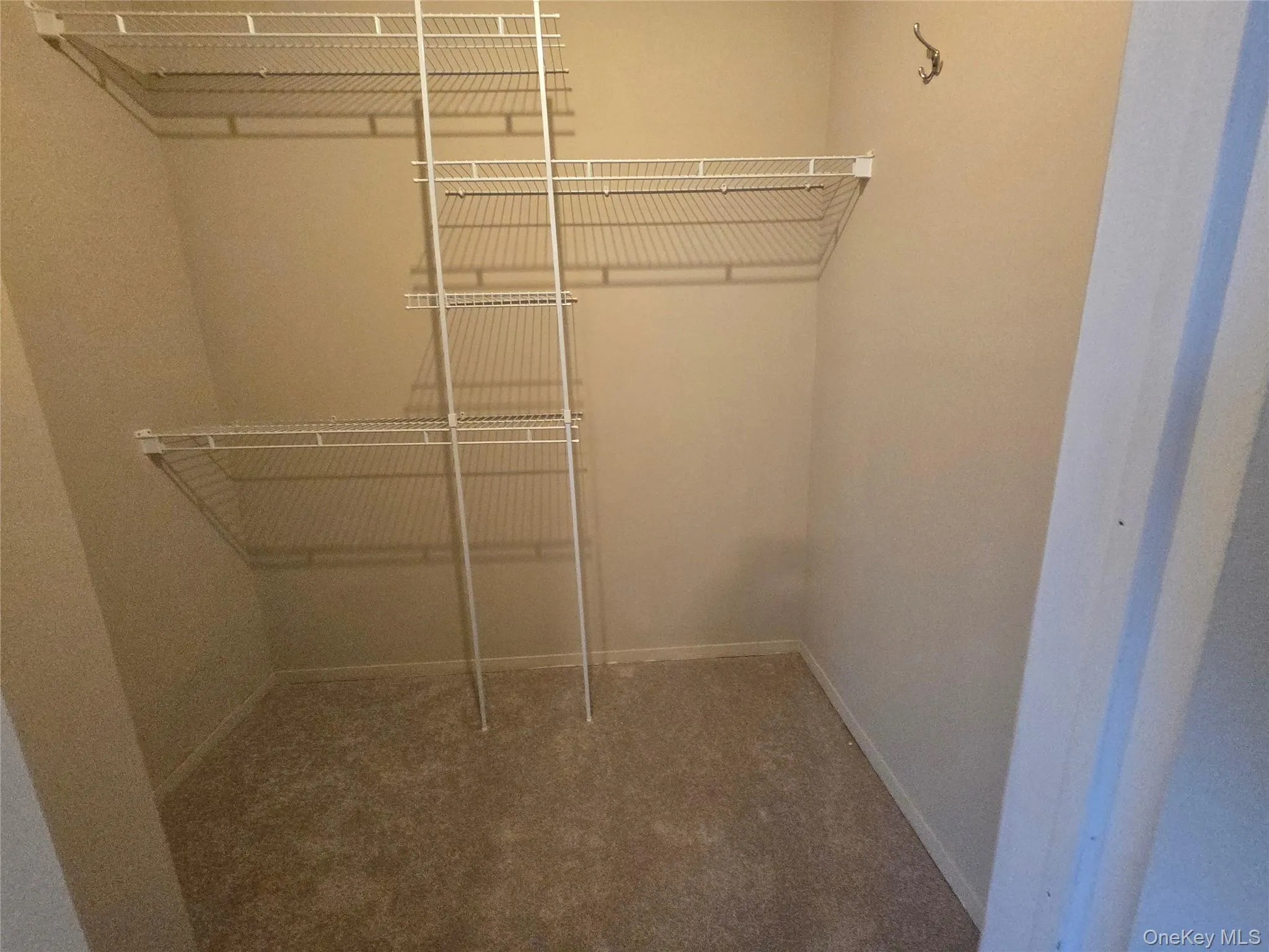 Walk in closet featuring dark colored carpet Walk in closet featuring dark colored carpet