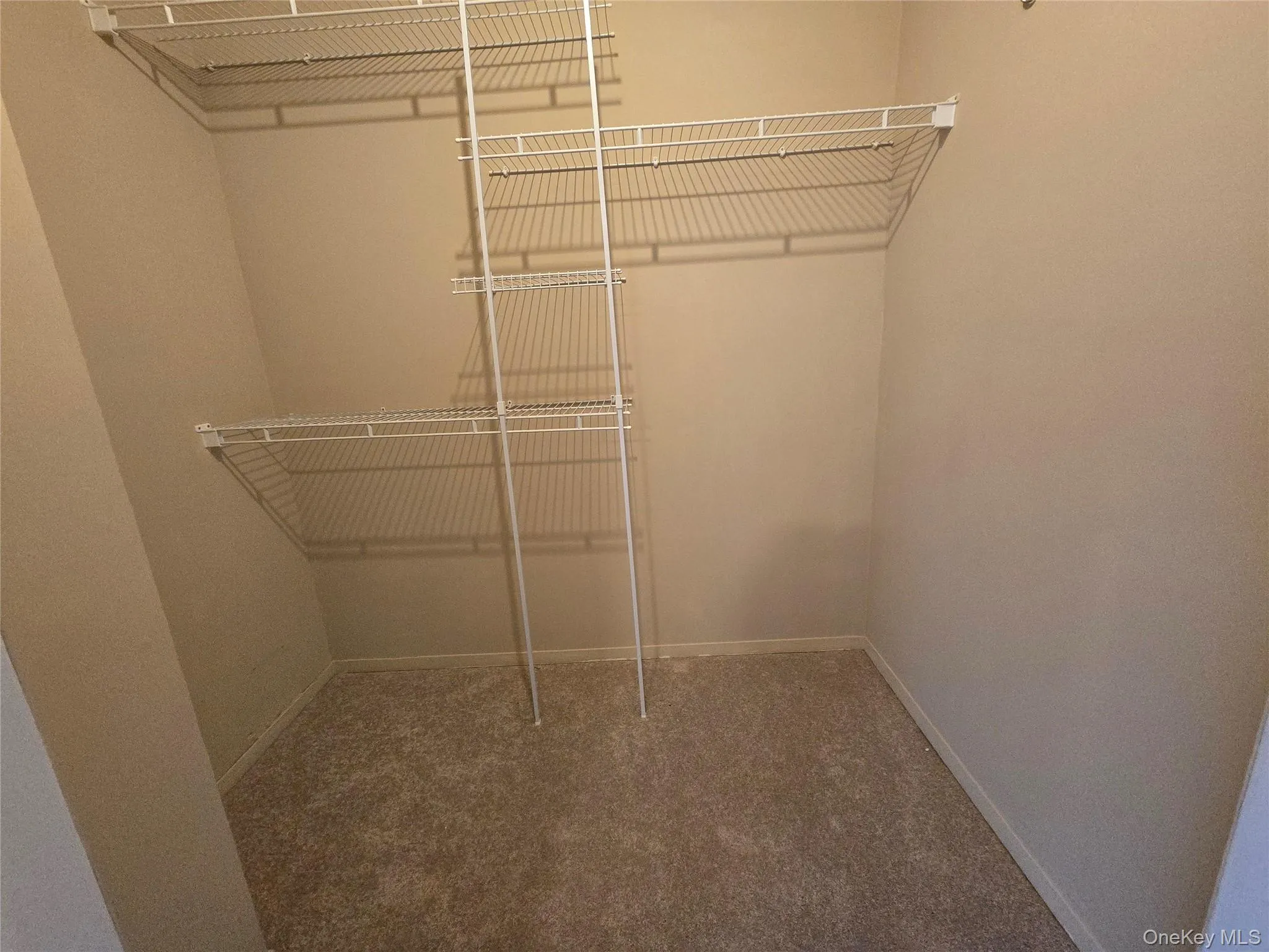 Walk in closet with carpet floors Walk in closet with carpet floors
