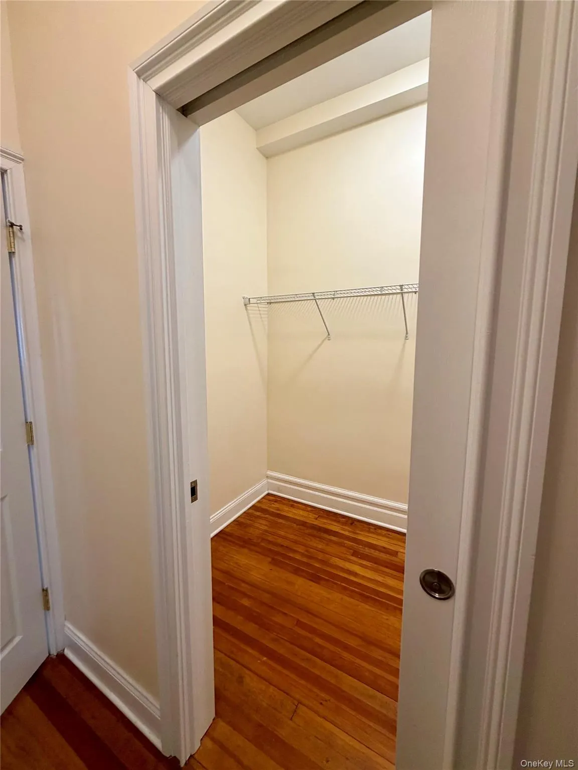 Spacious closet featuring dark wood-style floors Spacious closet featuring dark wood-style floors