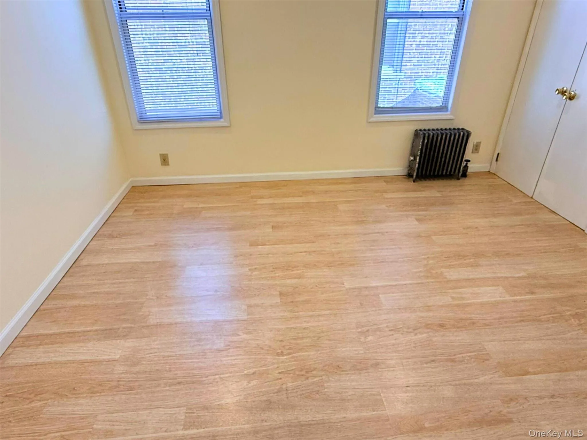 Empty room featuring radiator and light wood-style flooring Empty room featuring radiator and light wood-style flooring