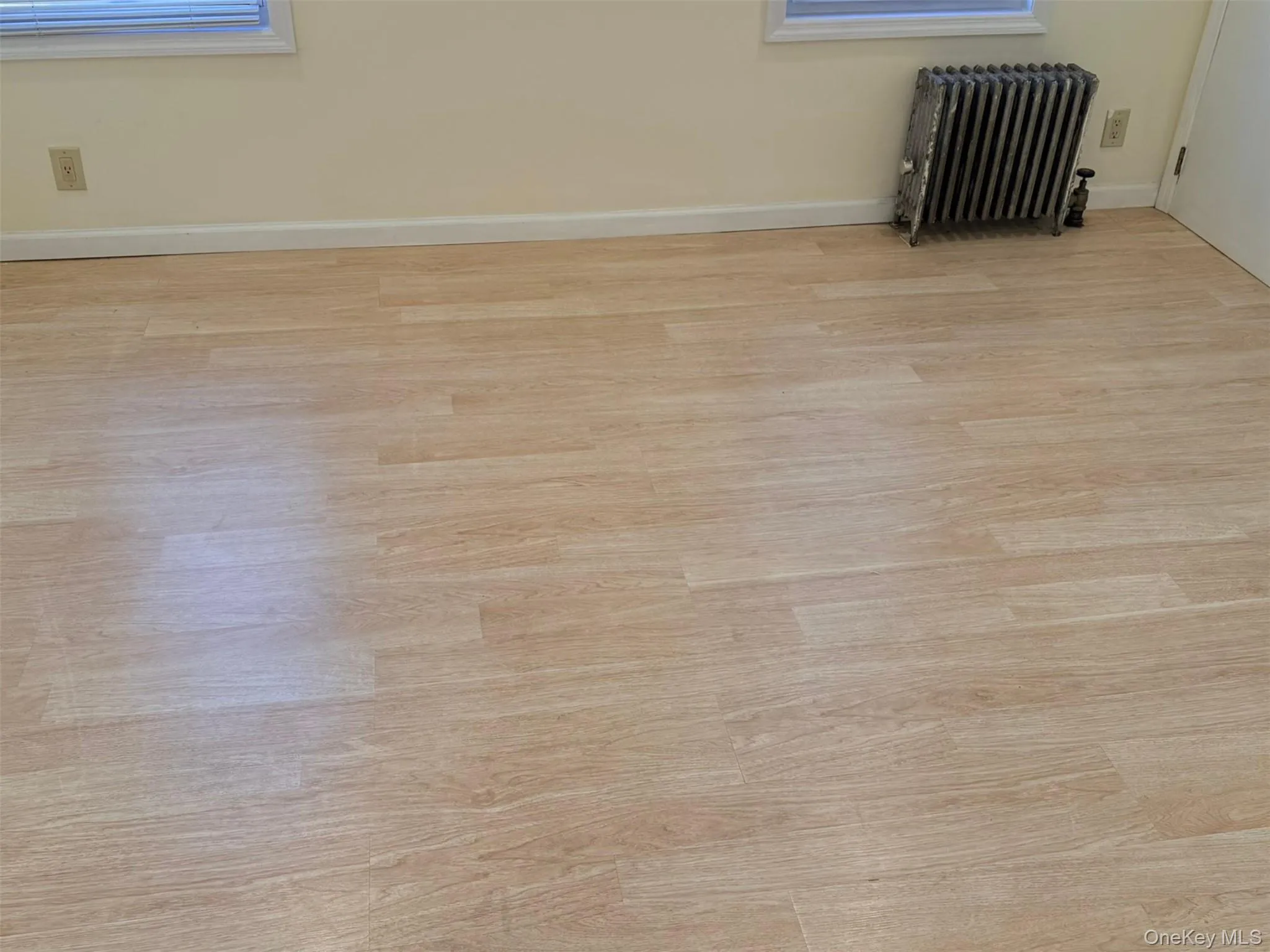 Empty room featuring radiator and light wood-style flooring Empty room featuring radiator and light wood-style flooring
