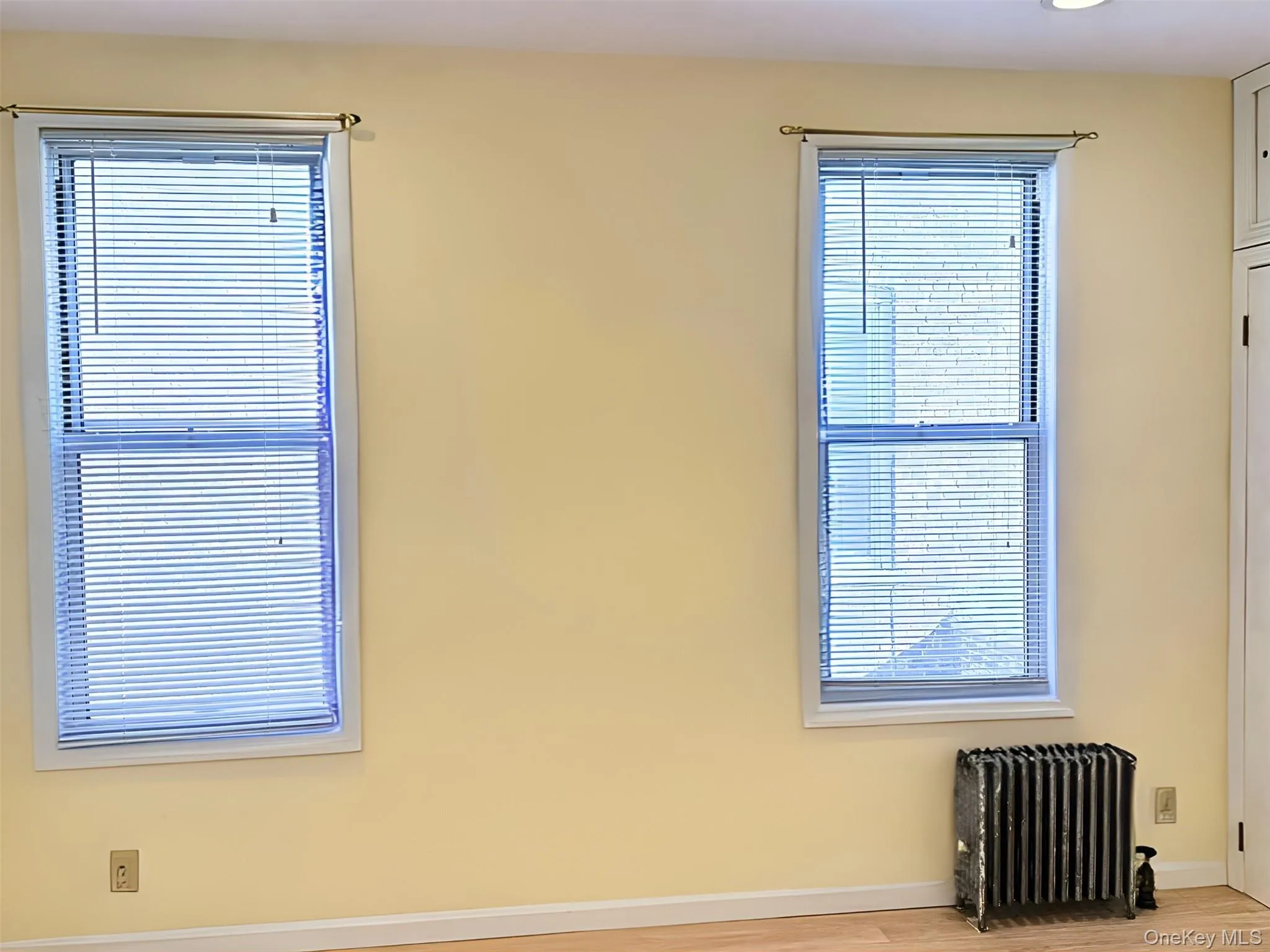 Spare room featuring radiator heating unit, light wood-style floors, and plenty of natural light Spare room featuring radiator heating unit, light wood-style floors, and plenty of natural light