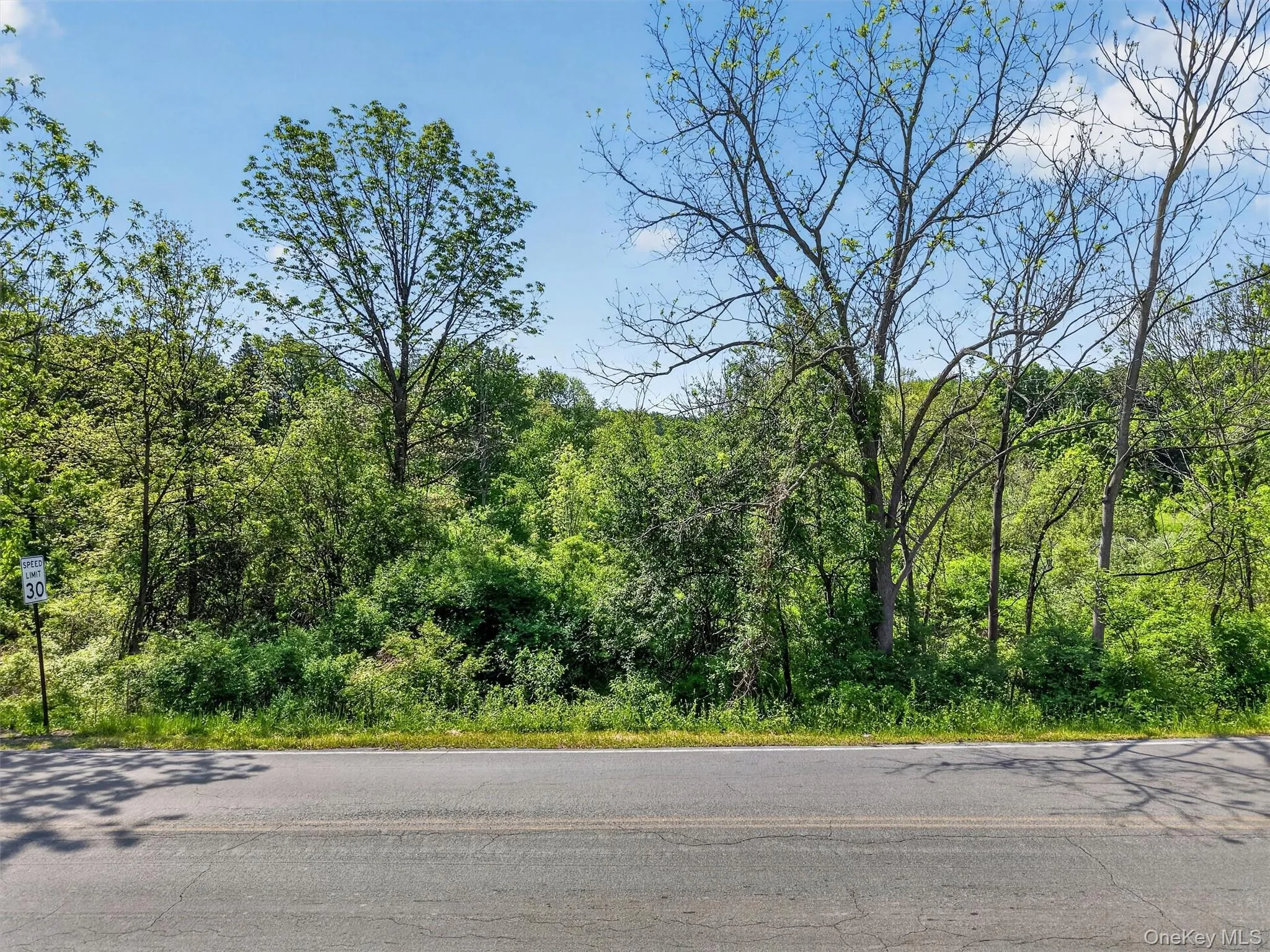Moore's Hill Road, New Windsor, NY, ,Land,For Rent,Moore's Hill,0,942803 Moore's Hill Road, New Windsor, NY, ,Land,For Rent,Moore's Hill,0,942803