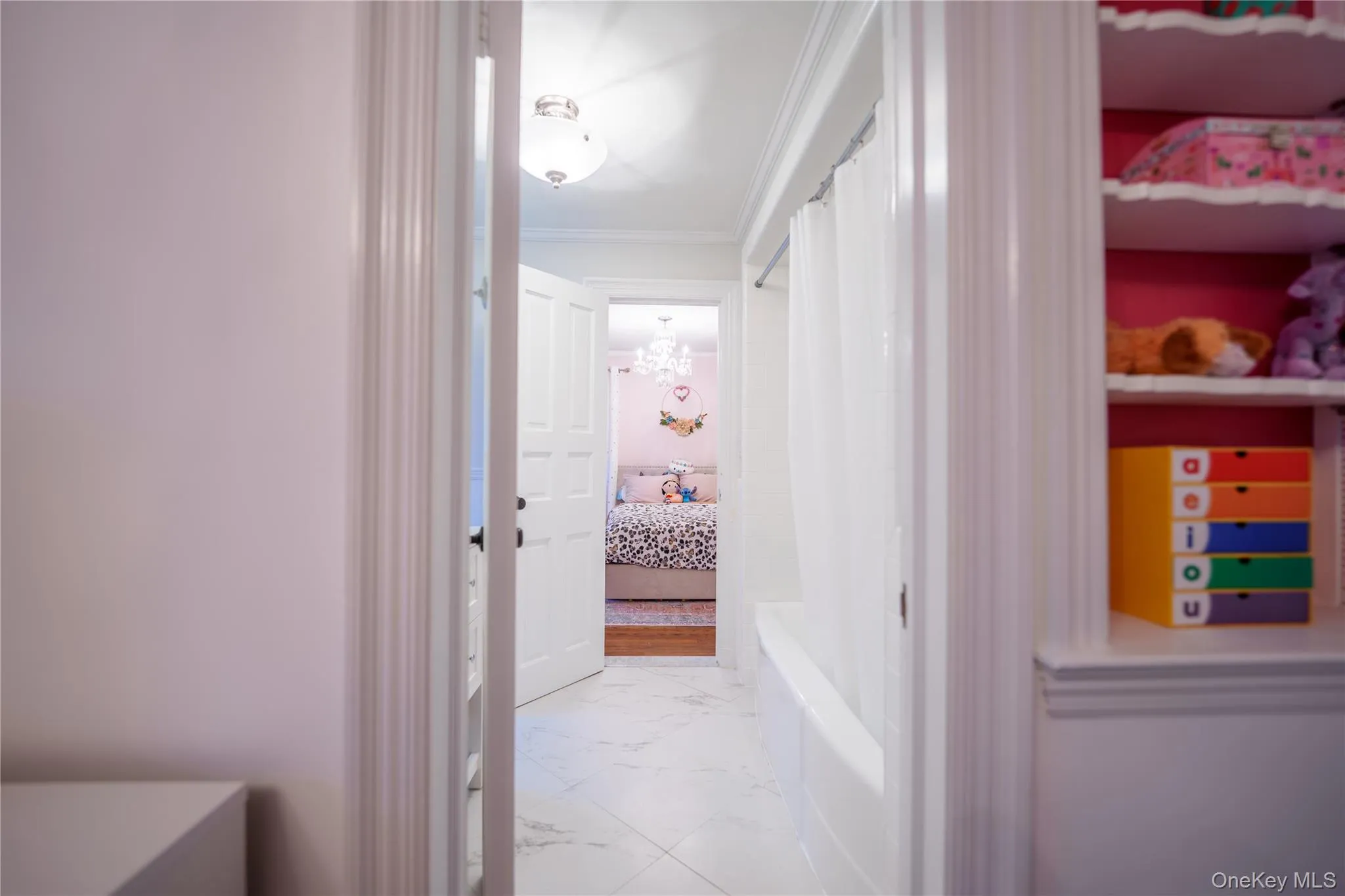 Looking through Jack and Jill bath Looking through Jack and Jill bath