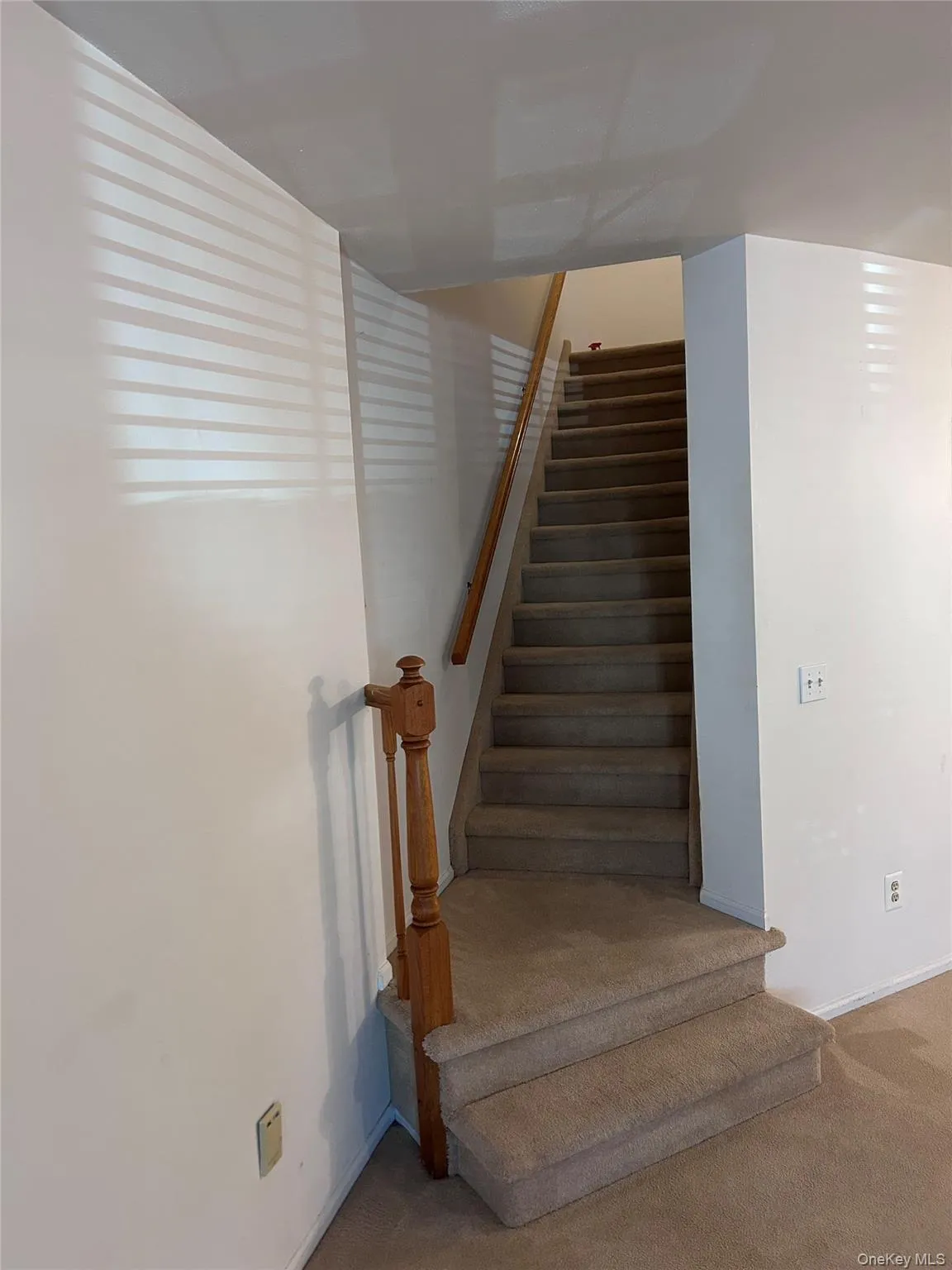 Stairs with carpet floors Stairs with carpet floors