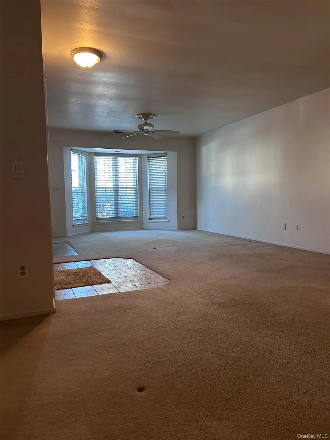 Living room with light colored carpet and ceiling fan Living room with light colored carpet and ceiling fan