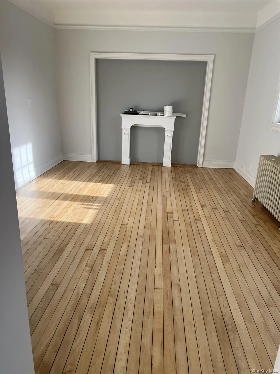 Unfurnished living room with radiator, ornamental molding, and light wood-type flooring Unfurnished living room with radiator, ornamental molding, and light wood-type flooring