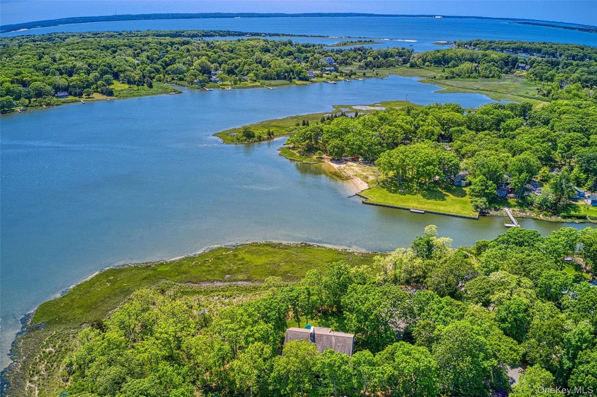 Drone / aerial view of a nearby body of water and a forest Drone / aerial view of a nearby body of water and a forest