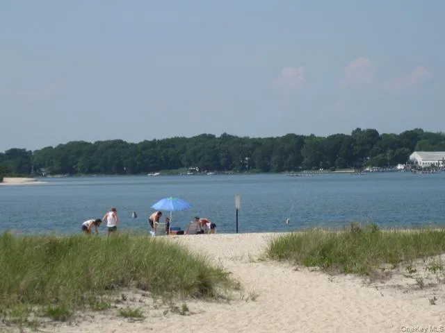 Water view featuring a heavily wooded area Water view featuring a heavily wooded area