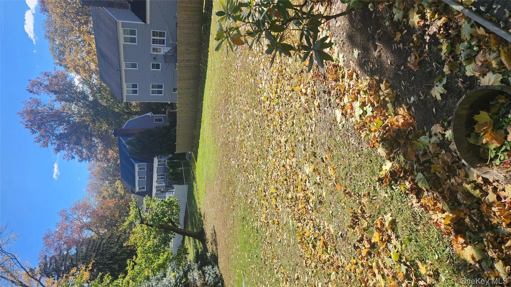 View of yard View of yard