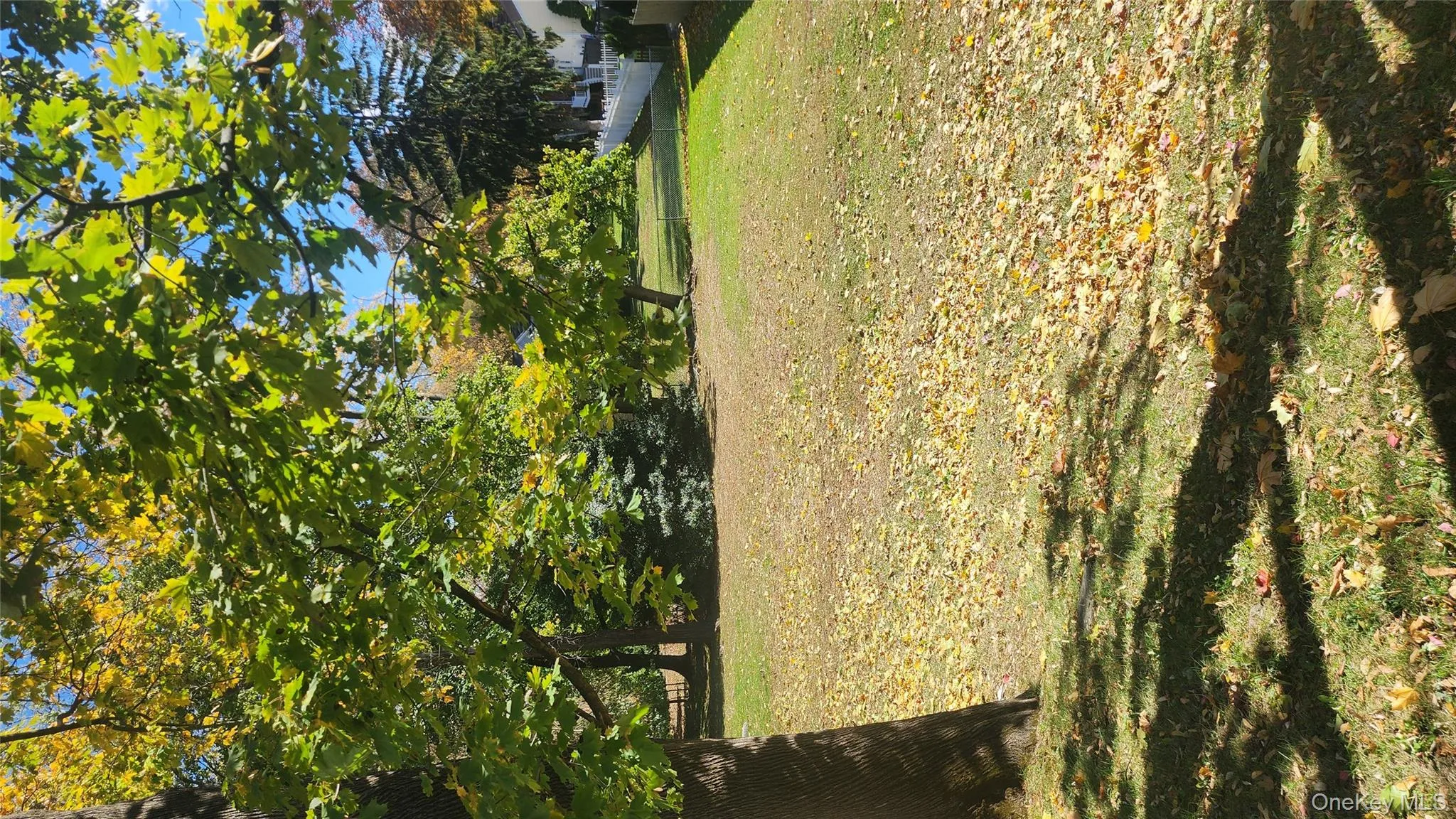 View of yard View of yard