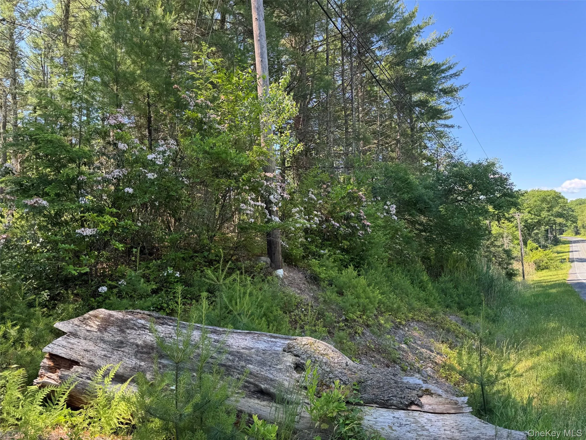 1315 Sackett Lake Rd, Forestburgh, NY, ,Land,For Rent,Sackett Lake Rd,0,943101 1315 Sackett Lake Rd, Forestburgh, NY, ,Land,For Rent,Sackett Lake Rd,0,943101