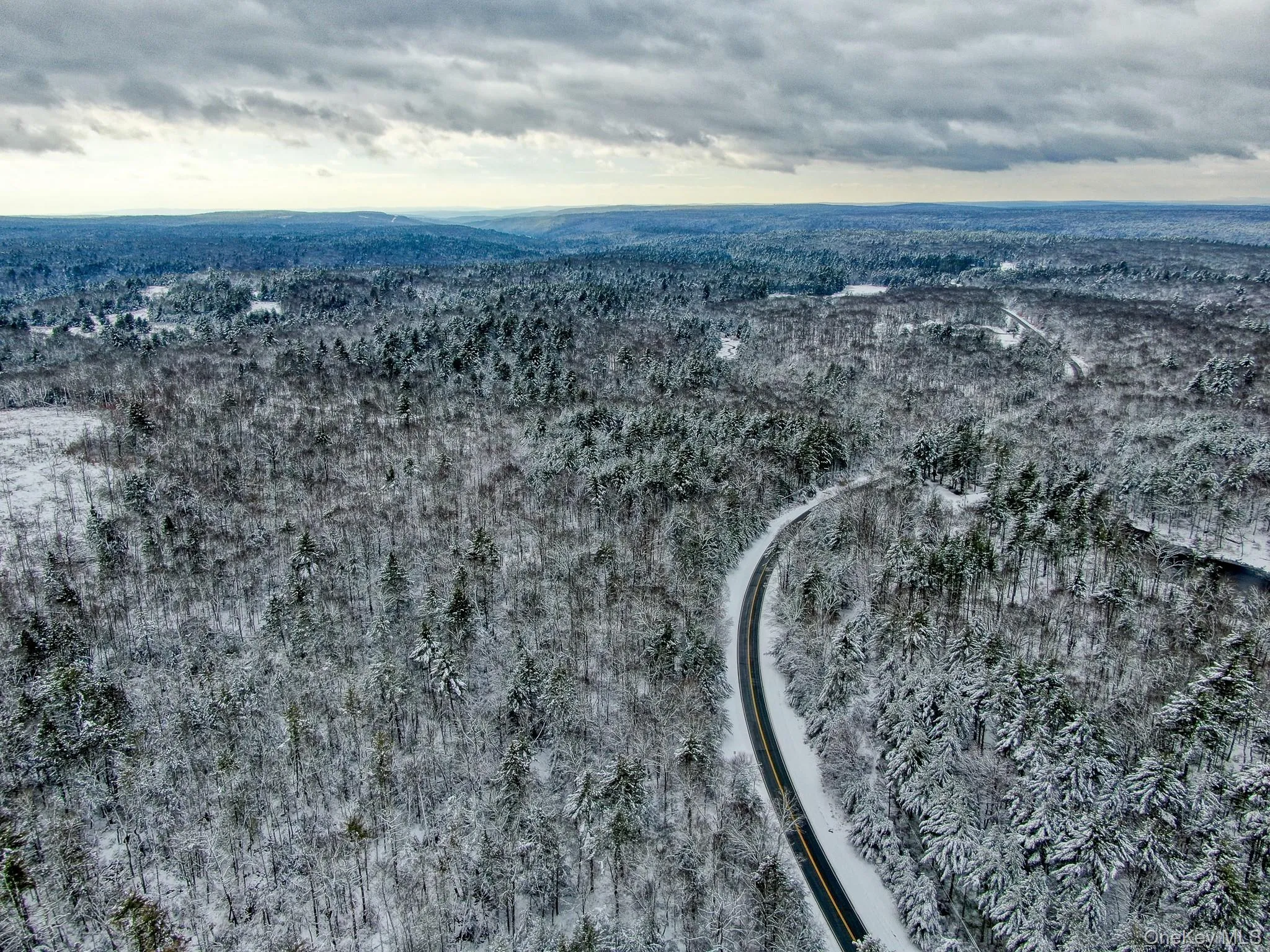 Drone / aerial view of a forest Drone / aerial view of a forest