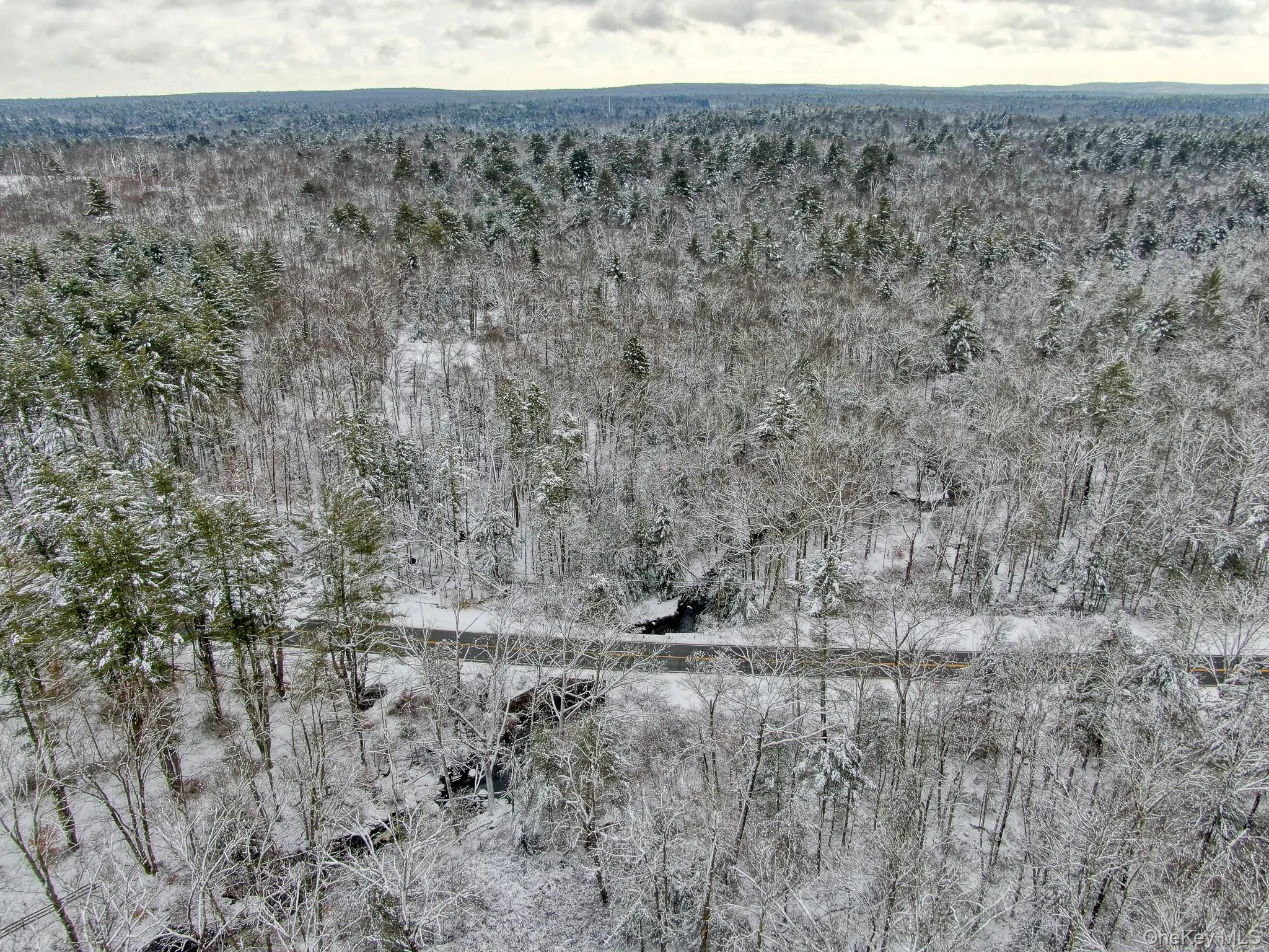 Aerial overview of property's location featuring a forest Aerial overview of property's location featuring a forest