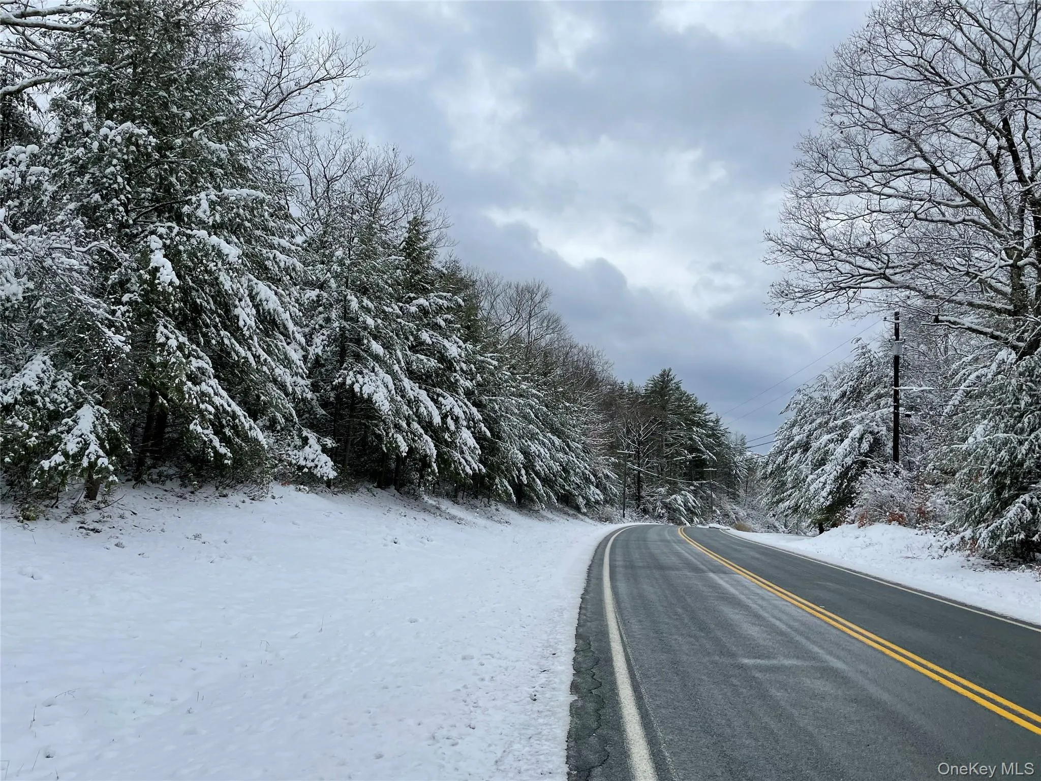 View of asphalt street featuring a wooded view View of asphalt street featuring a wooded view