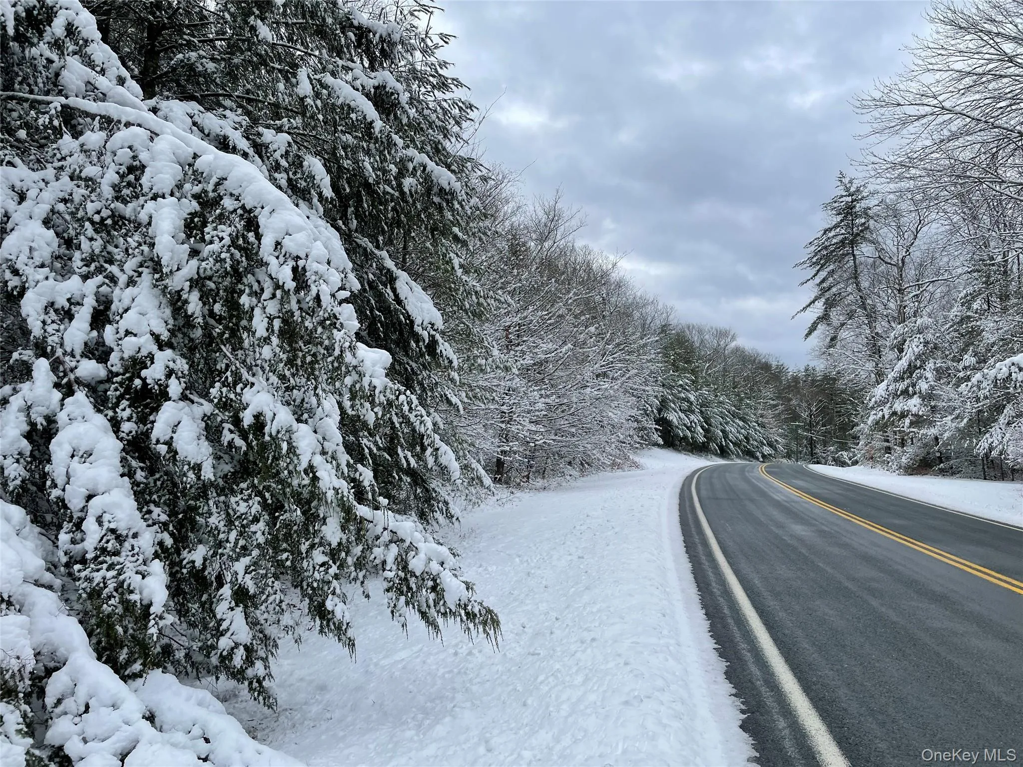 View of asphalt road with a forest view View of asphalt road with a forest view