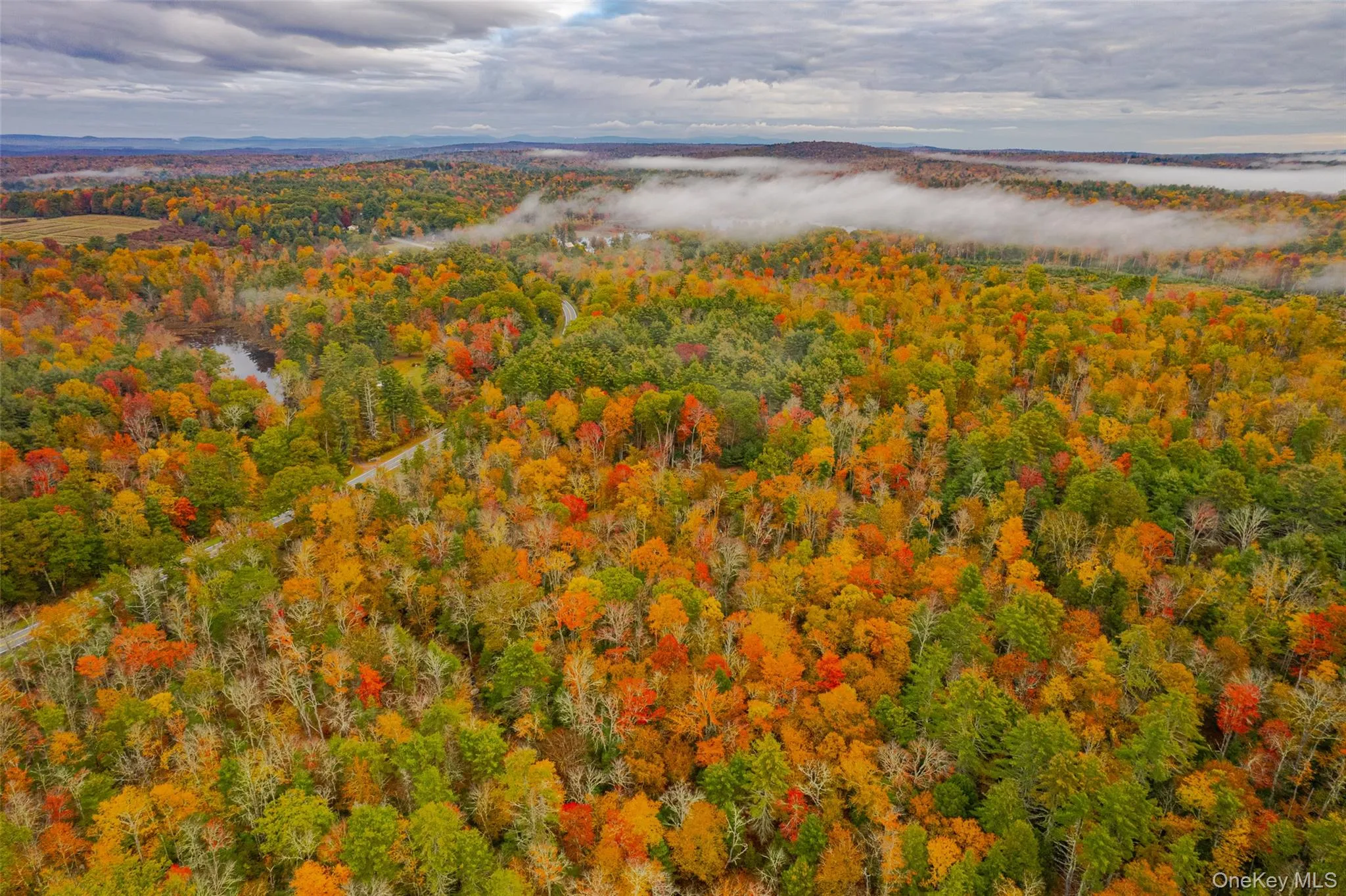 Bird's eye view of a heavily wooded area Bird's eye view of a heavily wooded area