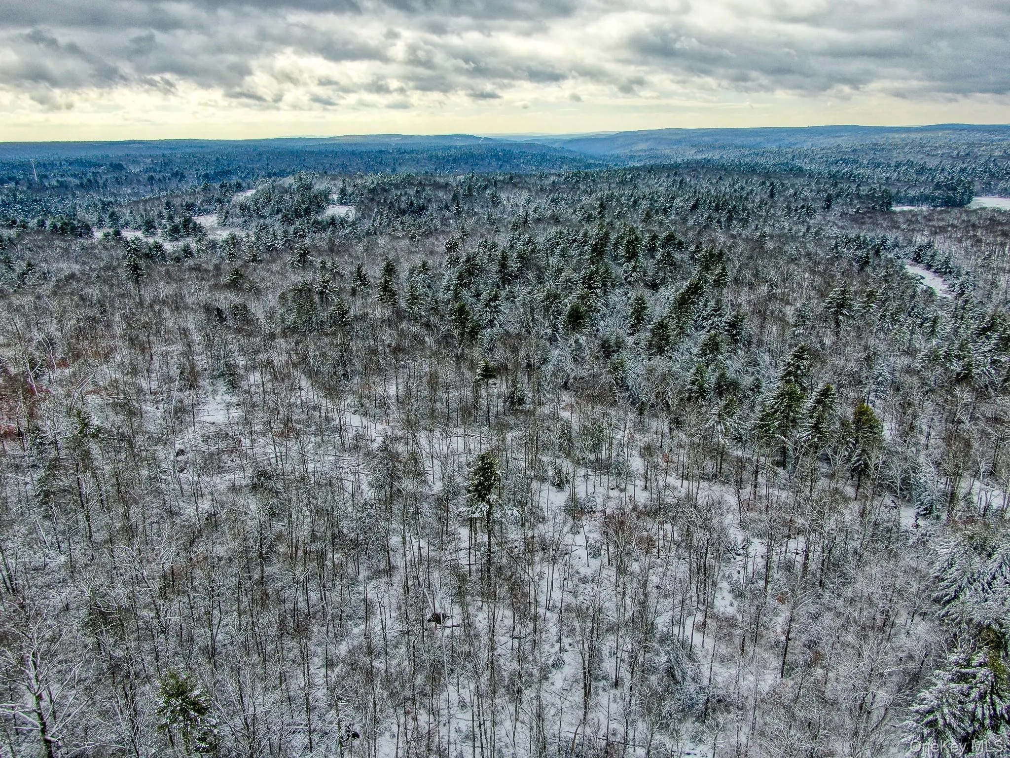 View of property location featuring a heavily wooded area View of property location featuring a heavily wooded area