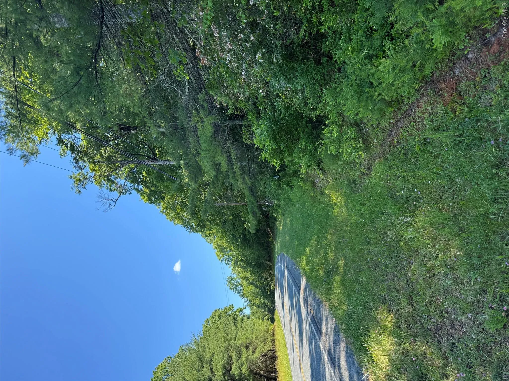 1315 Sackett Lake Rd, Forestburgh, NY, ,Land,For Rent,Sackett Lake Rd,0,943101 1315 Sackett Lake Rd, Forestburgh, NY, ,Land,For Rent,Sackett Lake Rd,0,943101