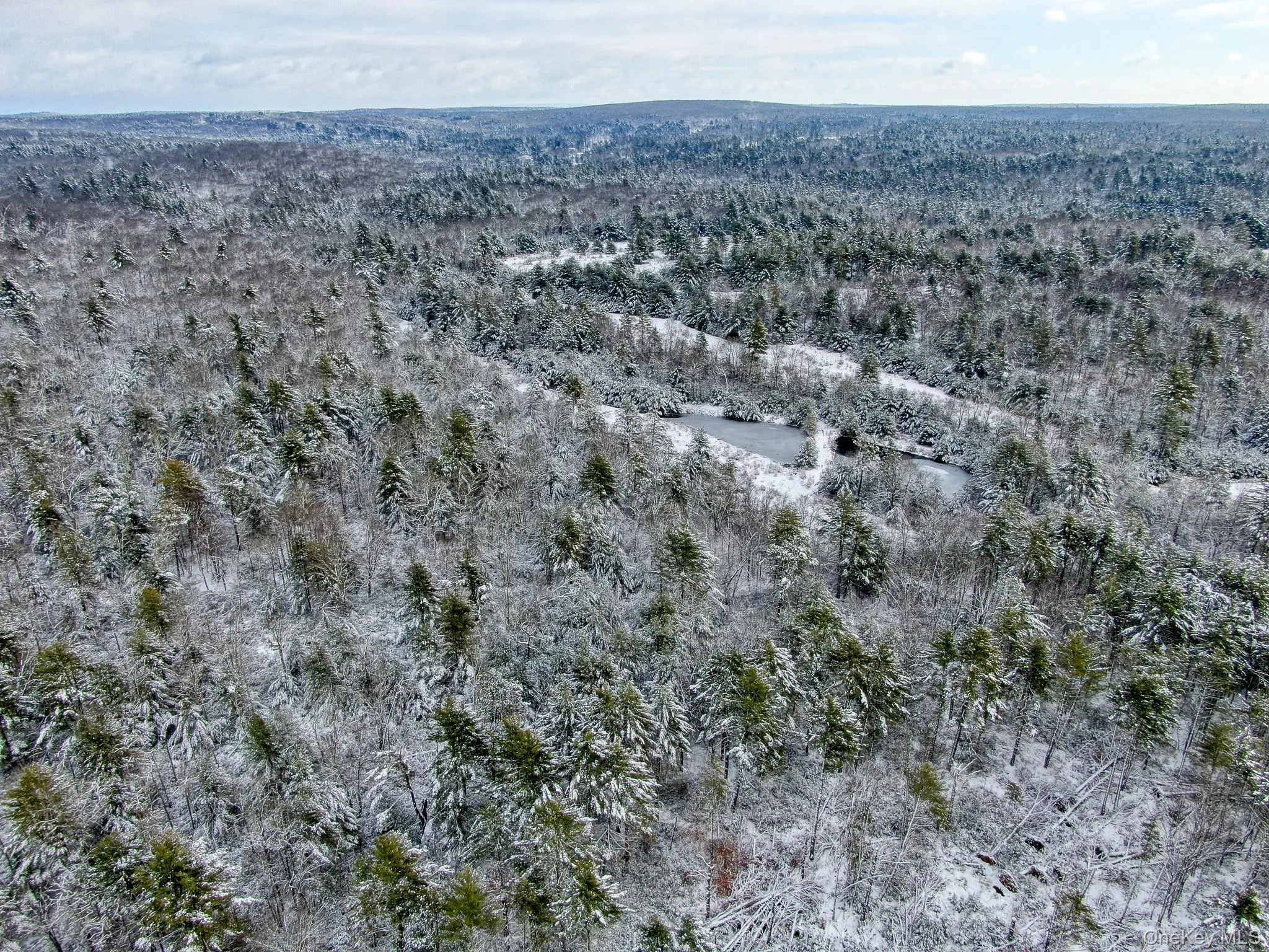 View of property location with a heavily wooded area View of property location with a heavily wooded area