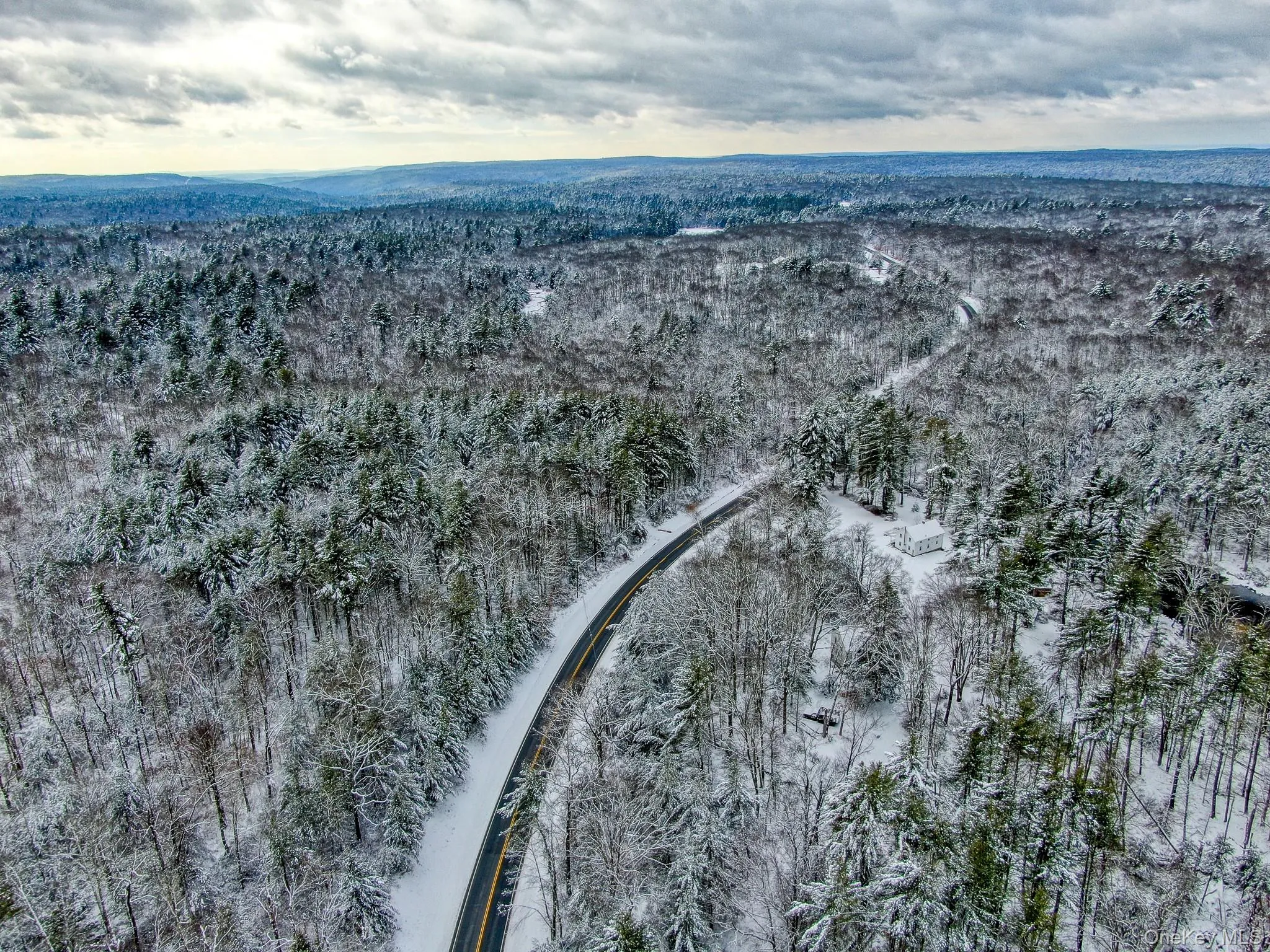 Aerial overview of property's location with a forest Aerial overview of property's location with a forest