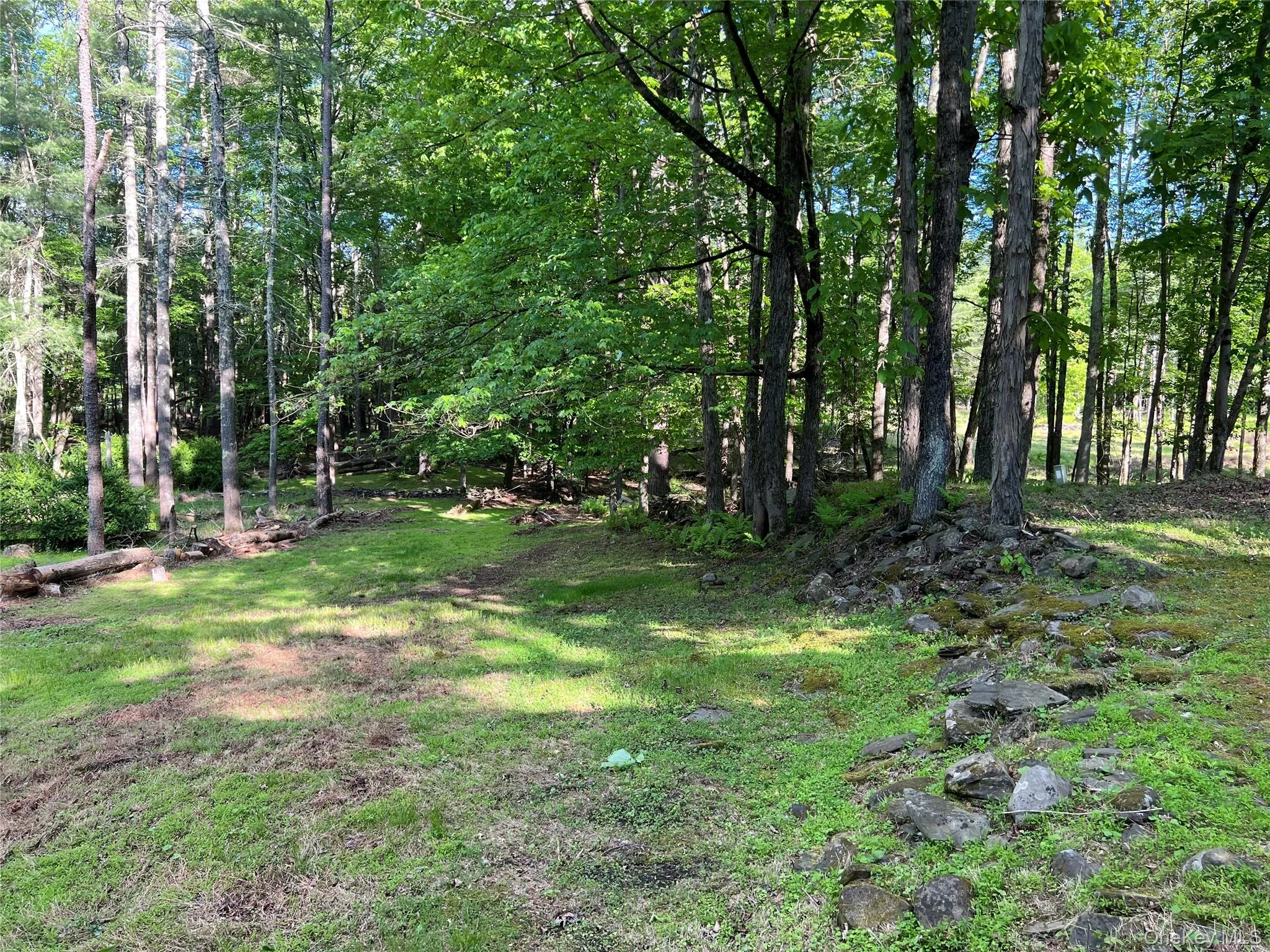 404 John Joy Road, Woodstock, NY, 3 Bedrooms Bedrooms, 12 Rooms Rooms,2 BathroomsBathrooms,Residential,For Rent,John Joy,0,943202 404 John Joy Road, Woodstock, NY, 3 Bedrooms Bedrooms, 12 Rooms Rooms,2 BathroomsBathrooms,Residential,For Rent,John Joy,0,943202