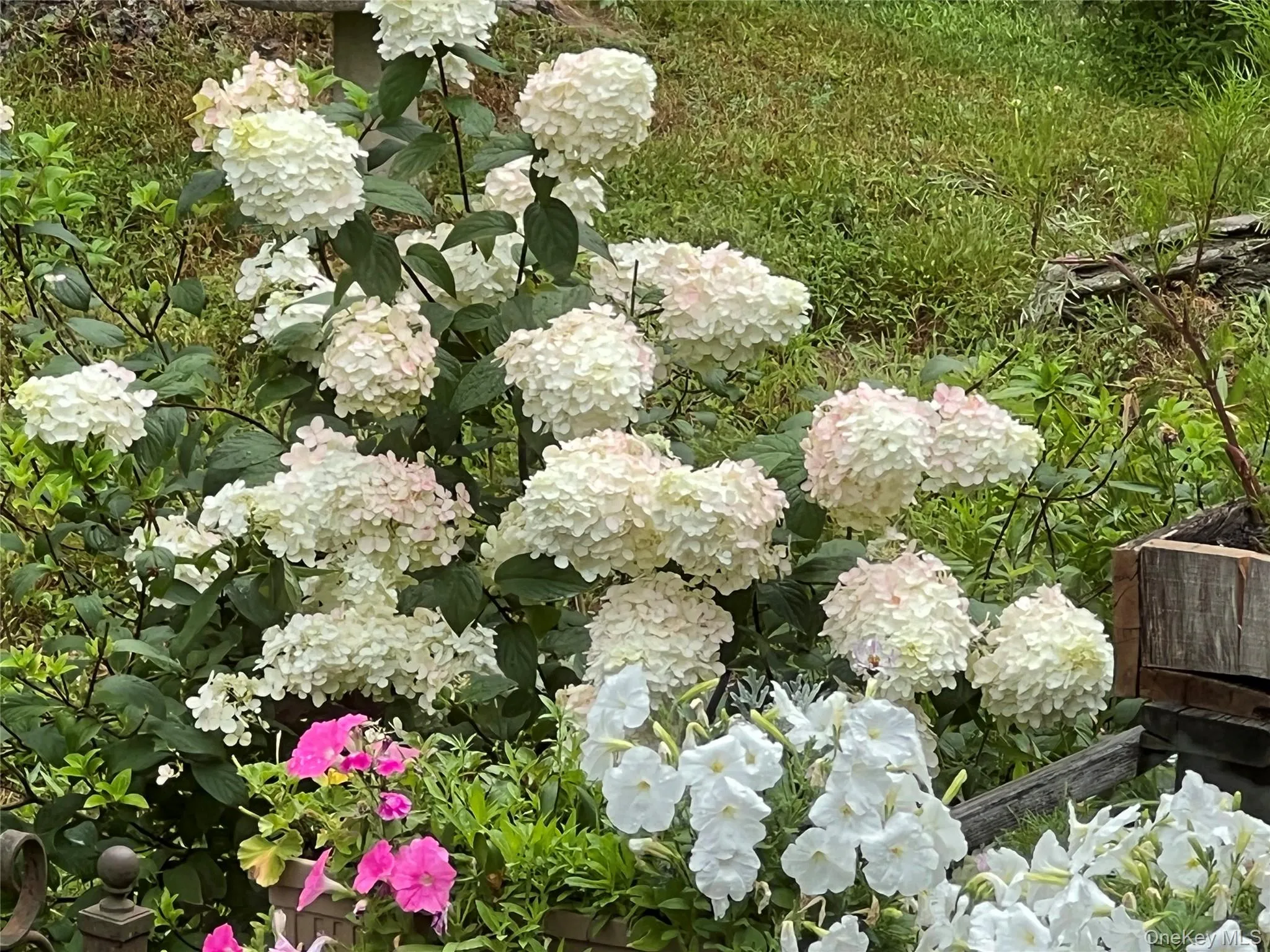 404 John Joy Road, Woodstock, NY, 3 Bedrooms Bedrooms, 12 Rooms Rooms,2 BathroomsBathrooms,Residential,For Rent,John Joy,0,943202 404 John Joy Road, Woodstock, NY, 3 Bedrooms Bedrooms, 12 Rooms Rooms,2 BathroomsBathrooms,Residential,For Rent,John Joy,0,943202
