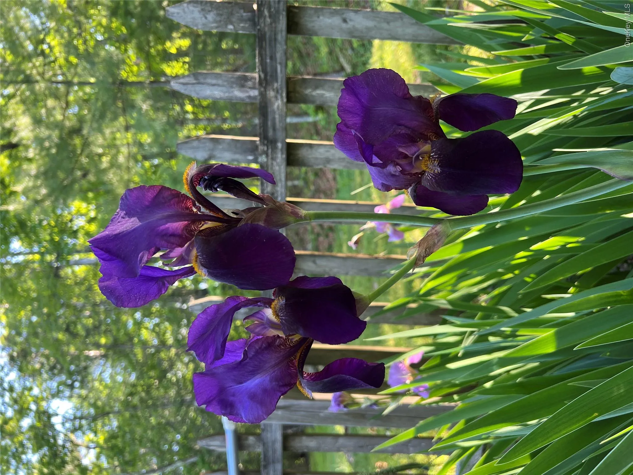 404 John Joy Road, Woodstock, NY, 3 Bedrooms Bedrooms, 12 Rooms Rooms,2 BathroomsBathrooms,Residential,For Rent,John Joy,0,943202 404 John Joy Road, Woodstock, NY, 3 Bedrooms Bedrooms, 12 Rooms Rooms,2 BathroomsBathrooms,Residential,For Rent,John Joy,0,943202