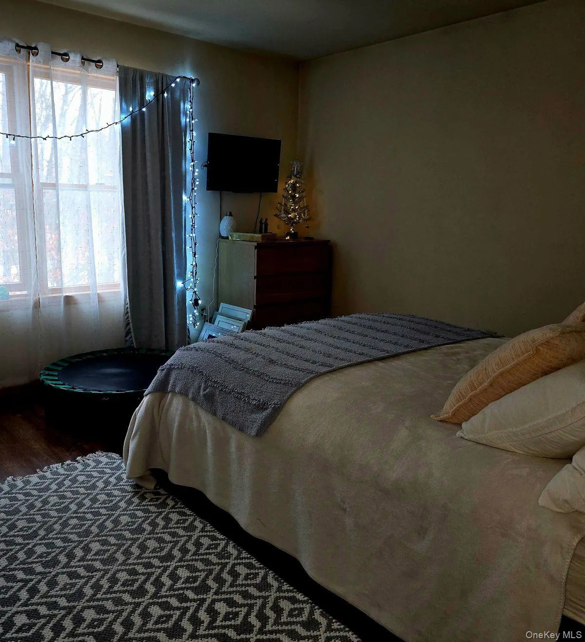 Bedroom featuring dark wood-type flooring Bedroom featuring dark wood-type flooring