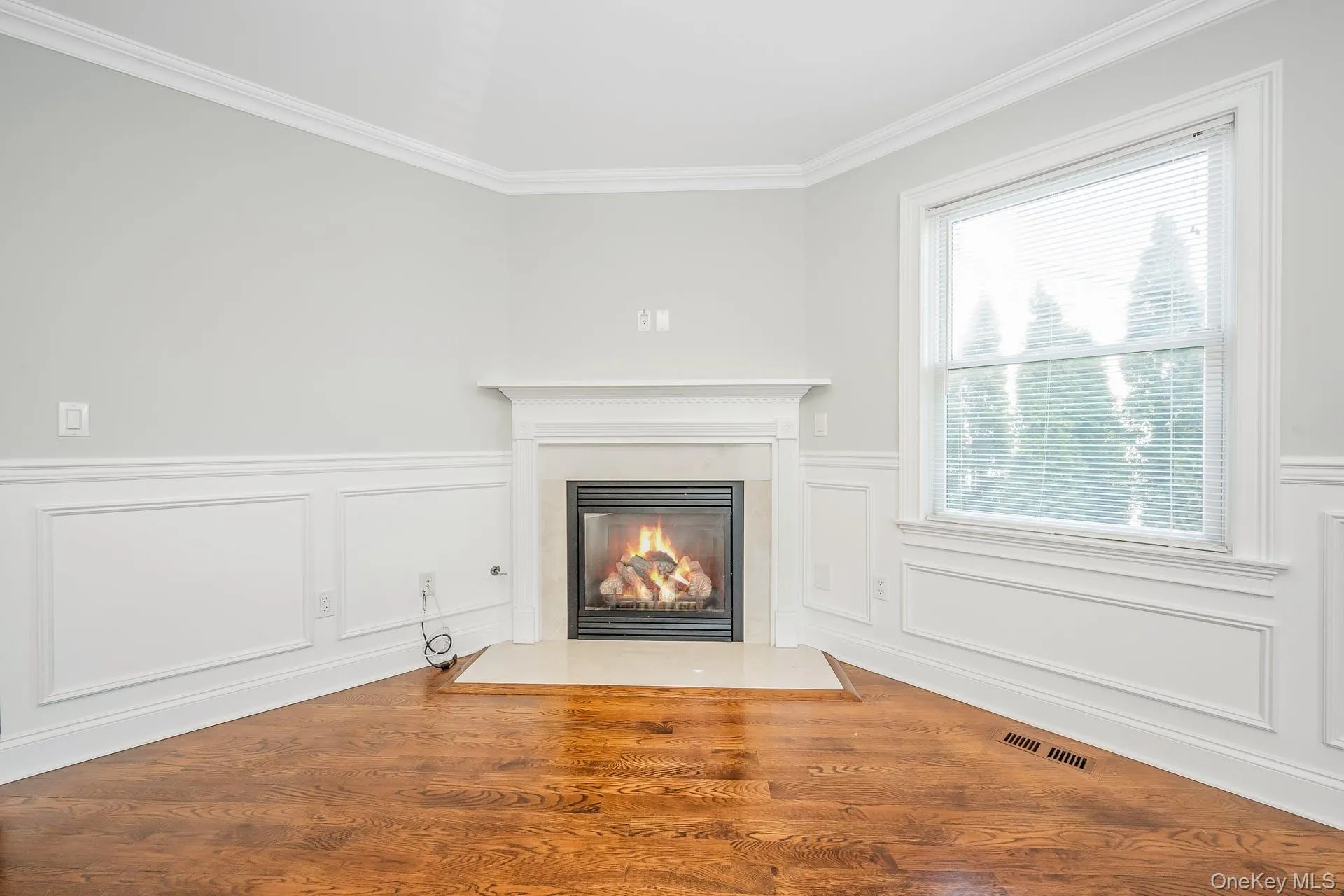 Unfurnished living room featuring crown molding, a fireplace with flush hearth, a decorative wall, wood finished floors, and wainscoting Unfurnished living room featuring crown molding, a fireplace with flush hearth, a decorative wall, wood finished floors, and wainscoting