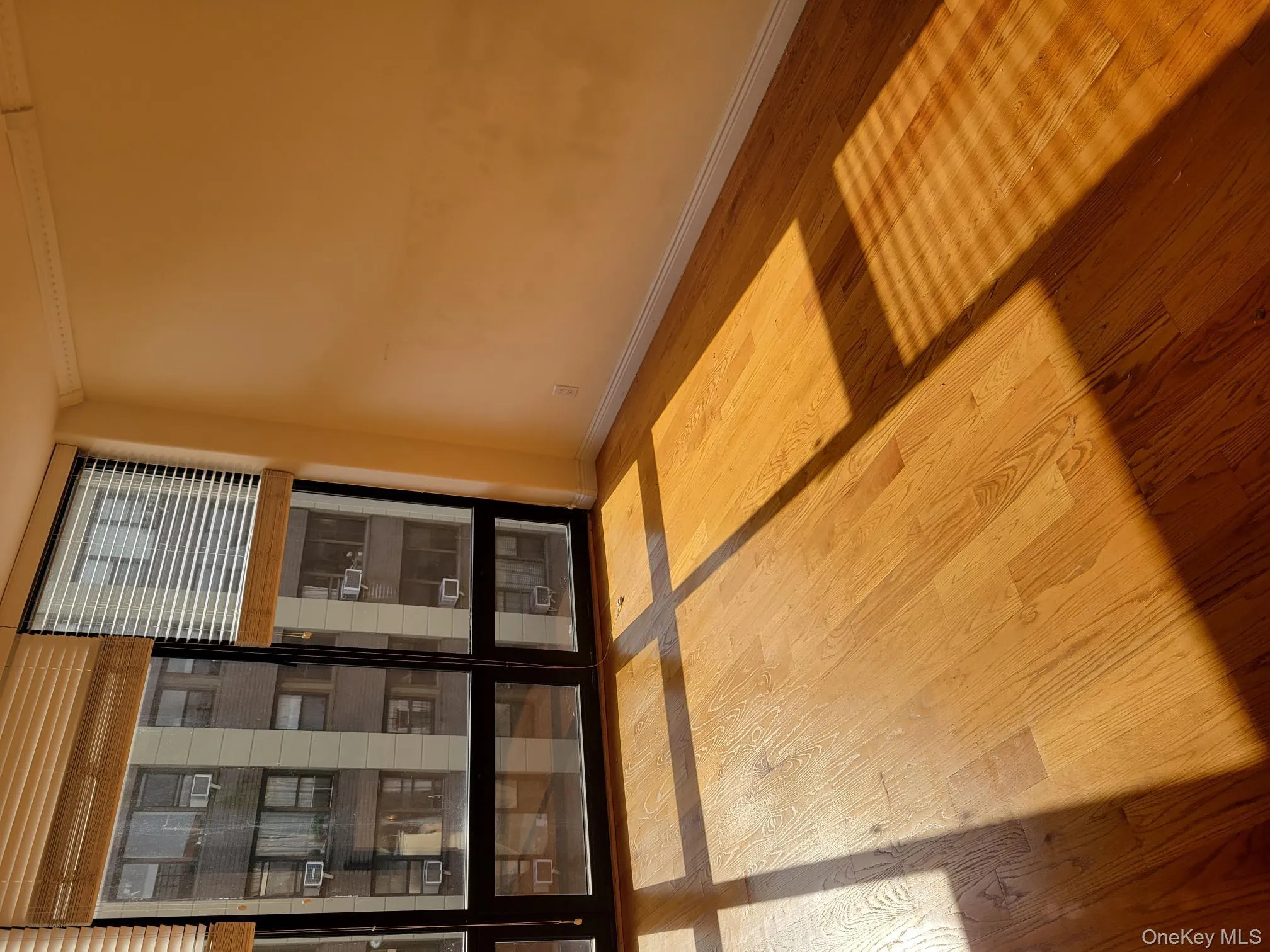 Empty room with wood finished floors and expansive windows Empty room with wood finished floors and expansive windows