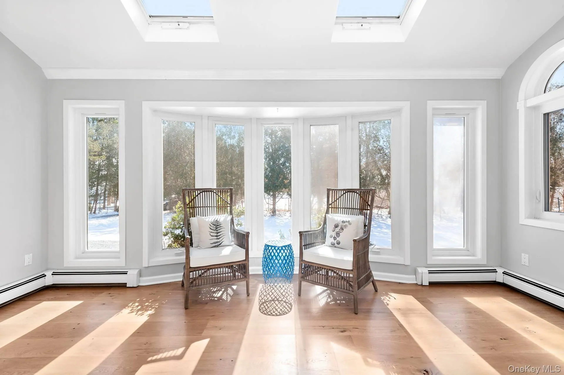 Living area featuring a skylight, wood finished floors, and baseboard heating Living area featuring a skylight, wood finished floors, and baseboard heating