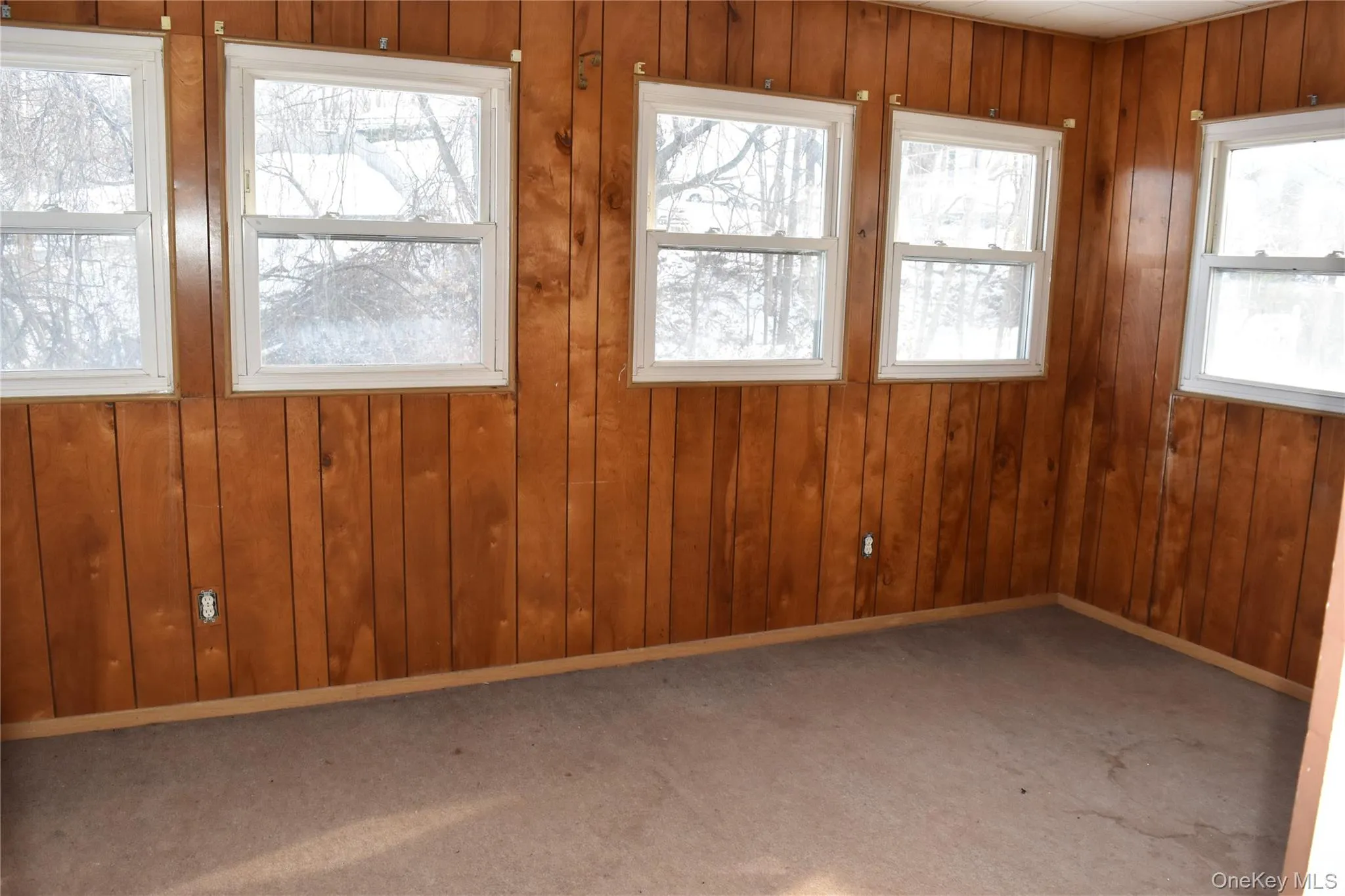 Carpeted spare room with wooden walls Carpeted spare room with wooden walls