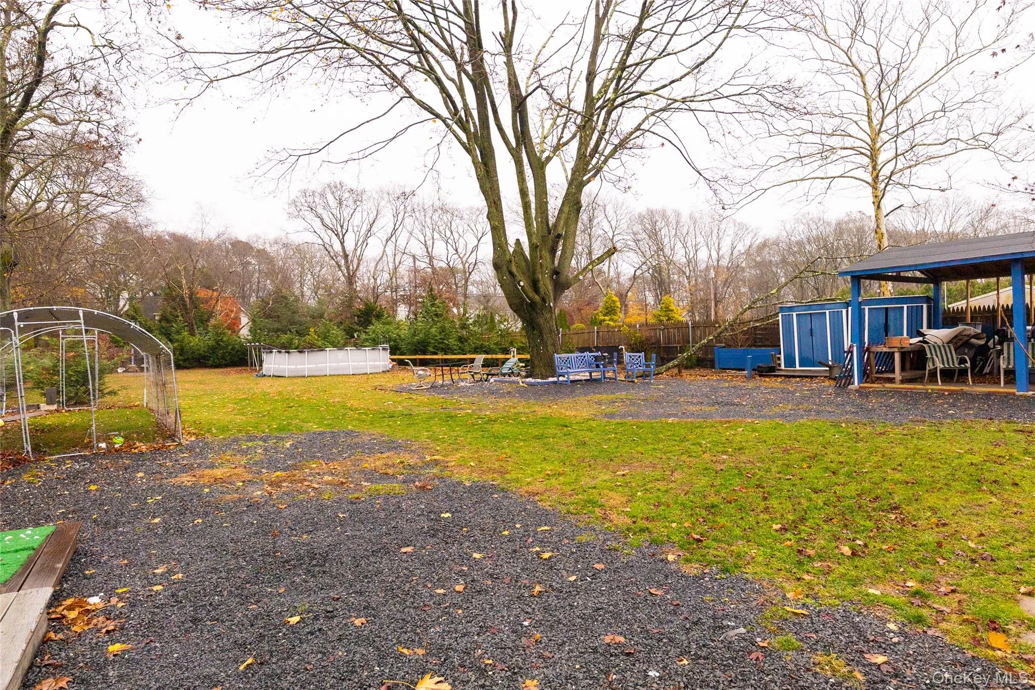 View of yard with a trampoline and an outbuilding View of yard with a trampoline and an outbuilding
