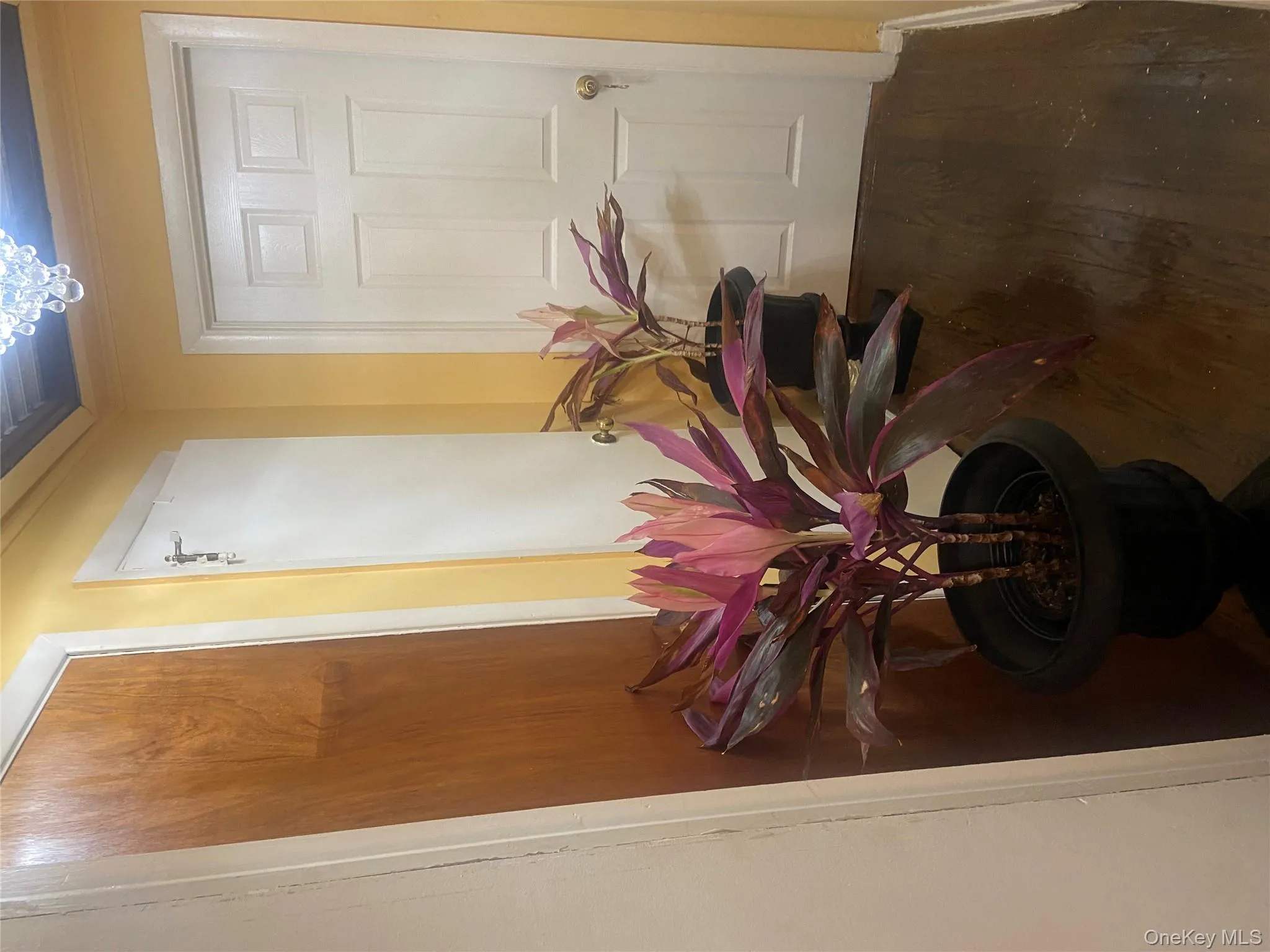 111 Virginia Avenue, Hempstead, NY, 1 Bedroom Bedrooms, 2 Rooms Rooms,1 BathroomBathrooms,Residential Lease,Idx,Virginia,0,943591 111 Virginia Avenue, Hempstead, NY, 1 Bedroom Bedrooms, 2 Rooms Rooms,1 BathroomBathrooms,Residential Lease,Idx,Virginia,0,943591