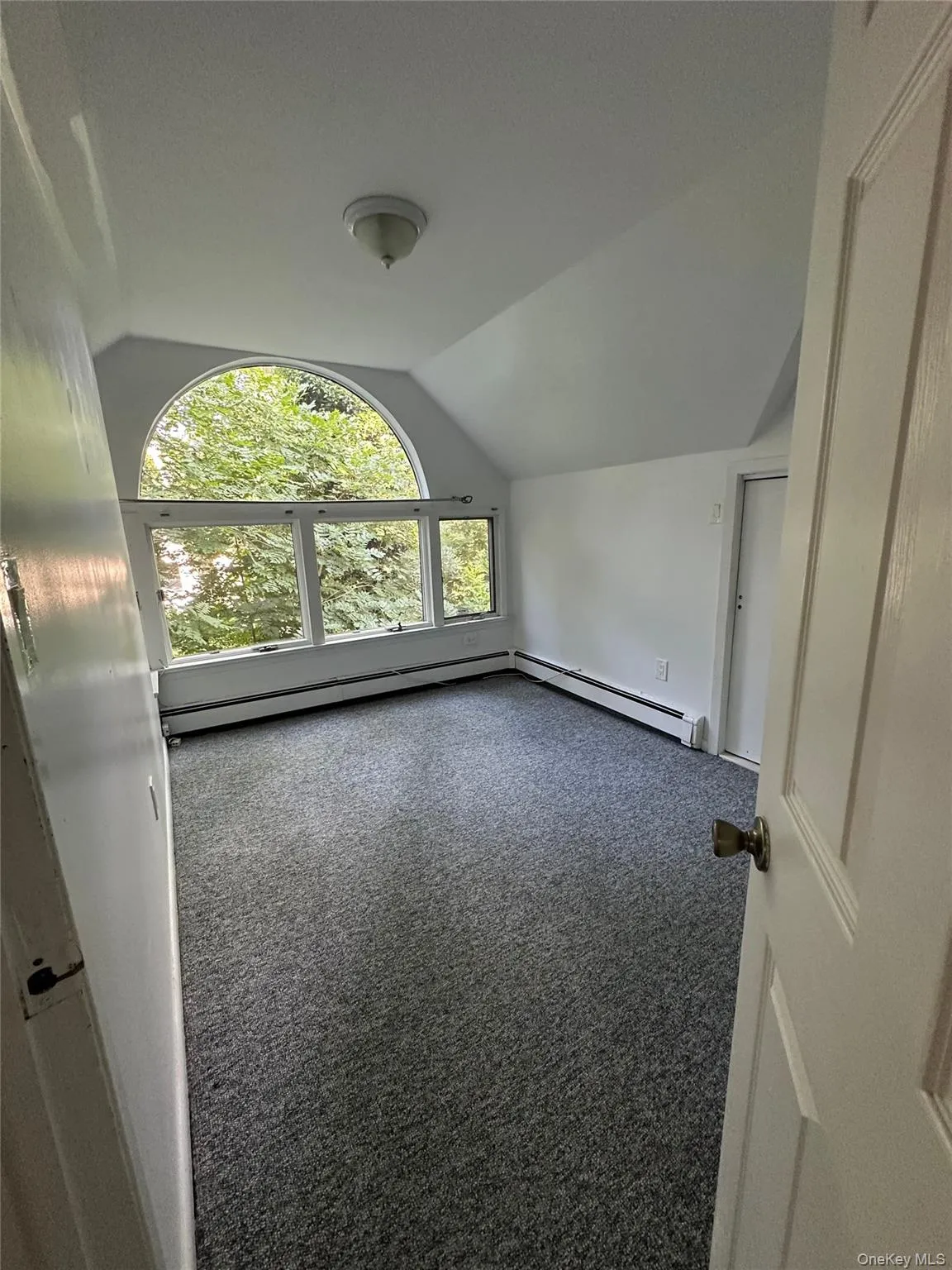 Additional living space with carpet, vaulted ceiling, and a baseboard radiator Additional living space with carpet, vaulted ceiling, and a baseboard radiator