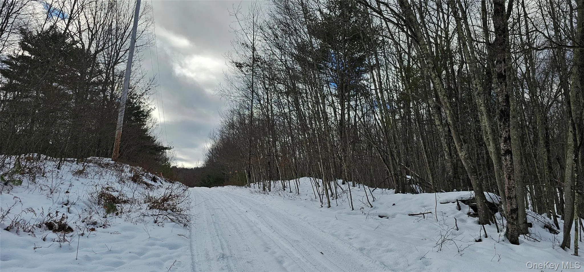 Lot 1.6 Foster (South) Trail, Tusten, NY, ,Land,For Rent,Foster (South),0,943675 Lot 1.6 Foster (South) Trail, Tusten, NY, ,Land,For Rent,Foster (South),0,943675