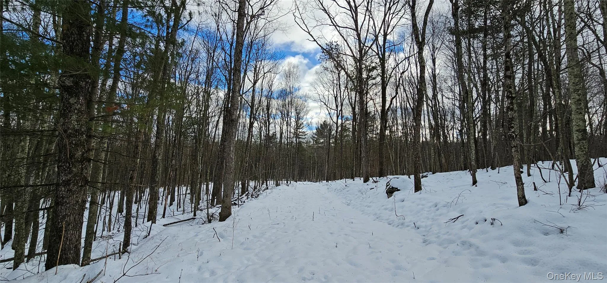 Lot 1.6 Foster (South) Trail, Tusten, NY, ,Land,For Rent,Foster (South),0,943675 Lot 1.6 Foster (South) Trail, Tusten, NY, ,Land,For Rent,Foster (South),0,943675
