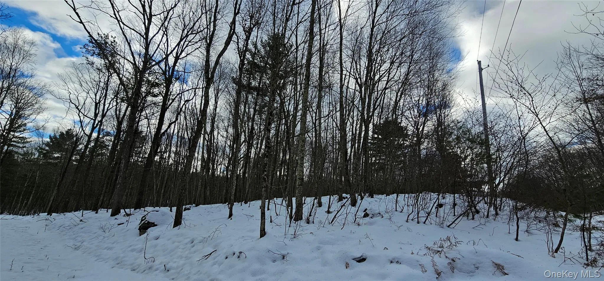 Lot 1.6 Foster (South) Trail, Tusten, NY, ,Land,For Rent,Foster (South),0,943675 Lot 1.6 Foster (South) Trail, Tusten, NY, ,Land,For Rent,Foster (South),0,943675