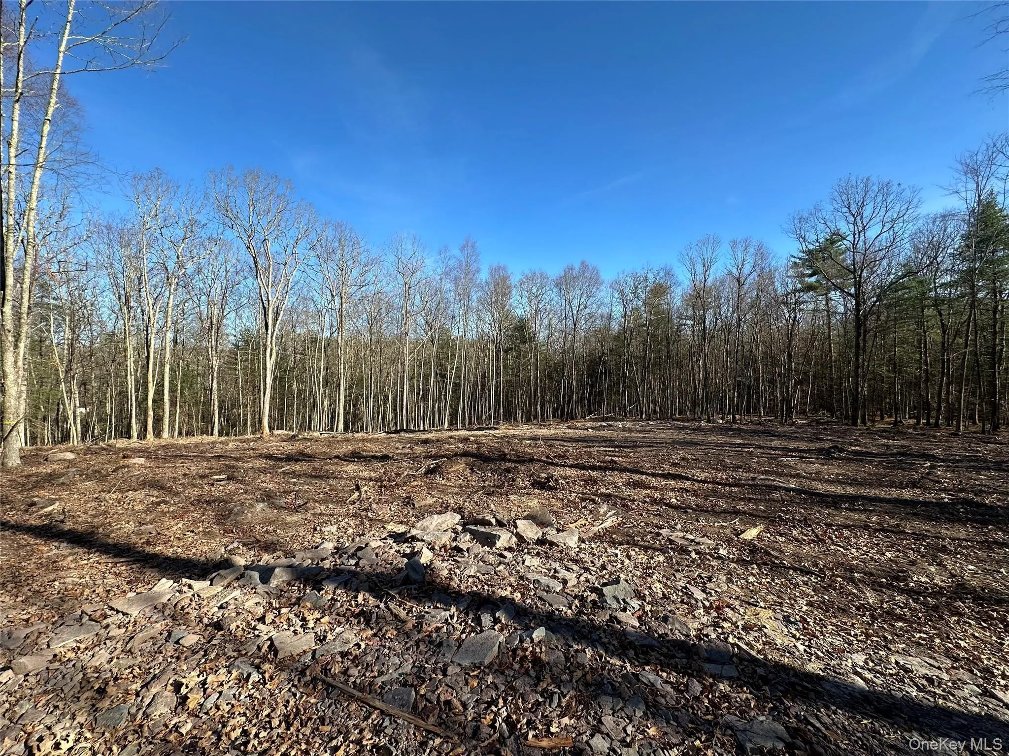 View of wooded area View of wooded area