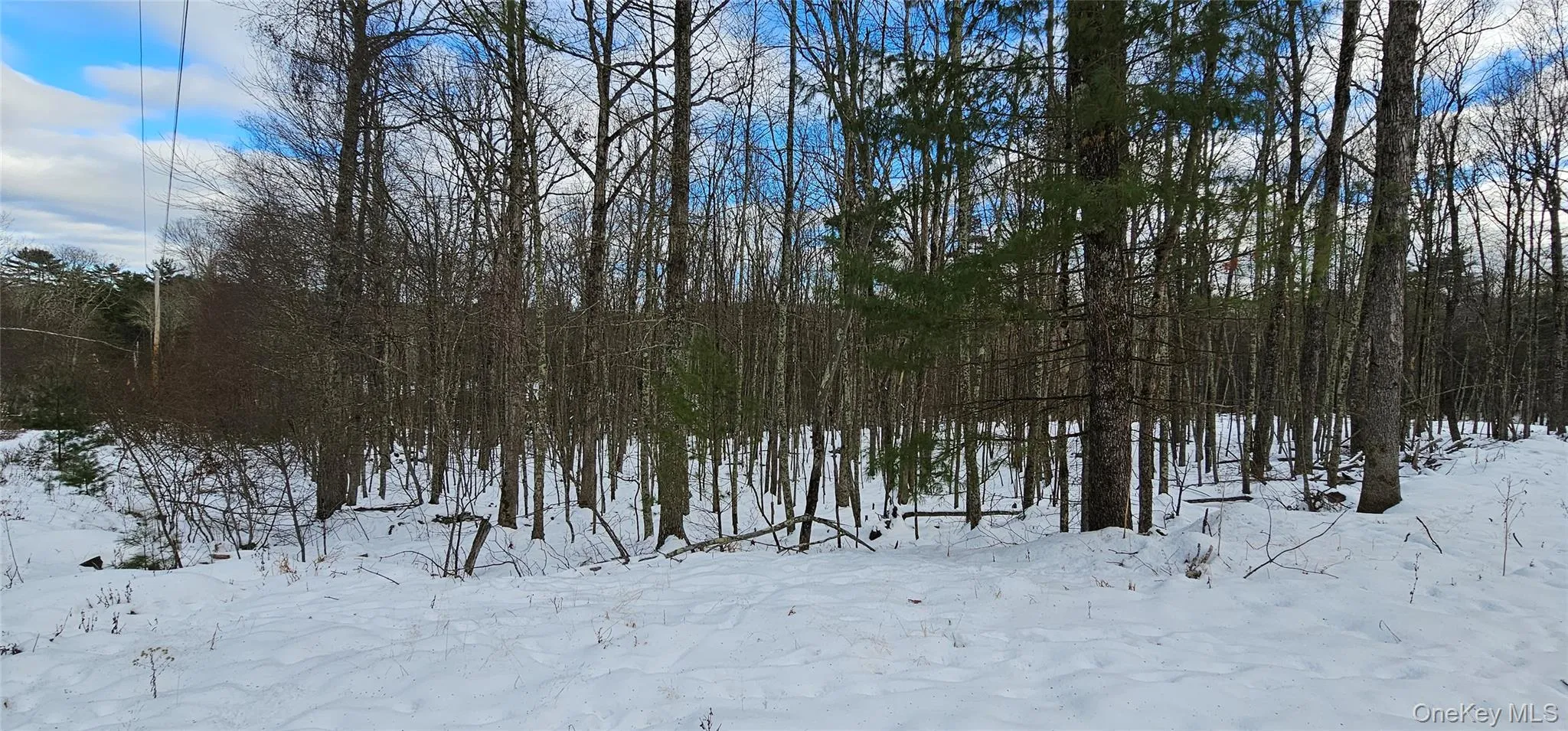 Lot 1.6 Foster (South) Trail, Tusten, NY, ,Land,For Rent,Foster (South),0,943675 Lot 1.6 Foster (South) Trail, Tusten, NY, ,Land,For Rent,Foster (South),0,943675