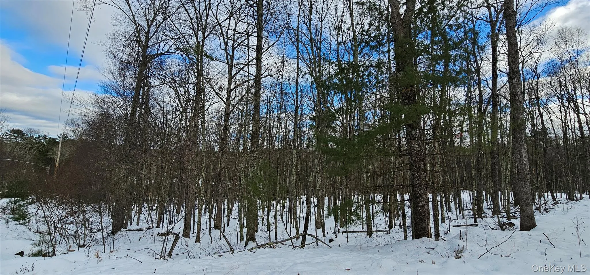 Lot 1.6 Foster (South) Trail, Tusten, NY, ,Land,For Rent,Foster (South),0,943675 Lot 1.6 Foster (South) Trail, Tusten, NY, ,Land,For Rent,Foster (South),0,943675