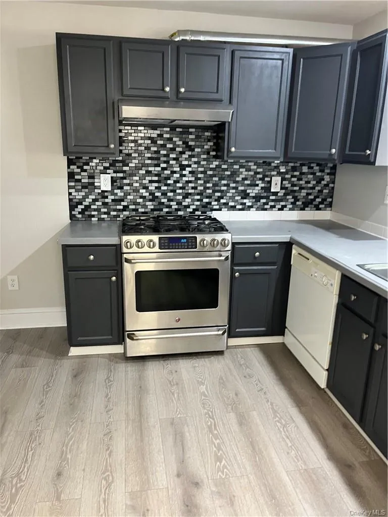 Kitchen with dishwasher, extractor fan, gas stove, and hardwood / wood-style floors Kitchen with dishwasher, extractor fan, gas stove, and hardwood / wood-style floors