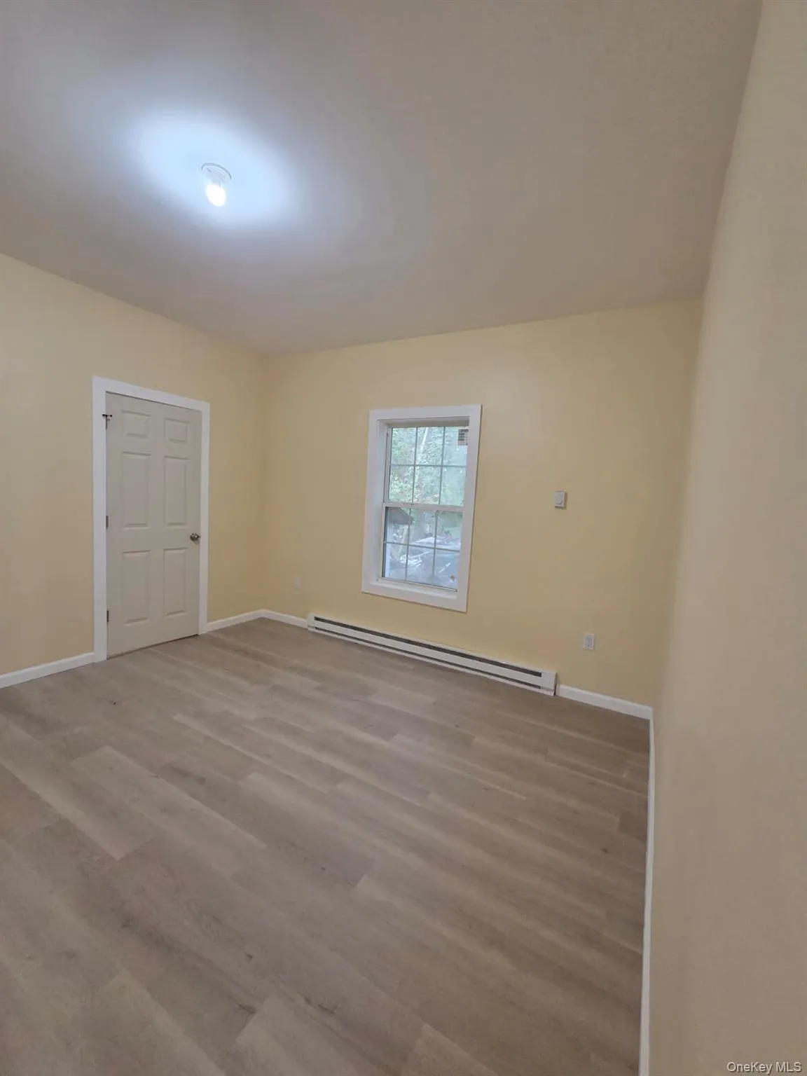Spare room featuring a baseboard radiator and light wood finished floors Spare room featuring a baseboard radiator and light wood finished floors