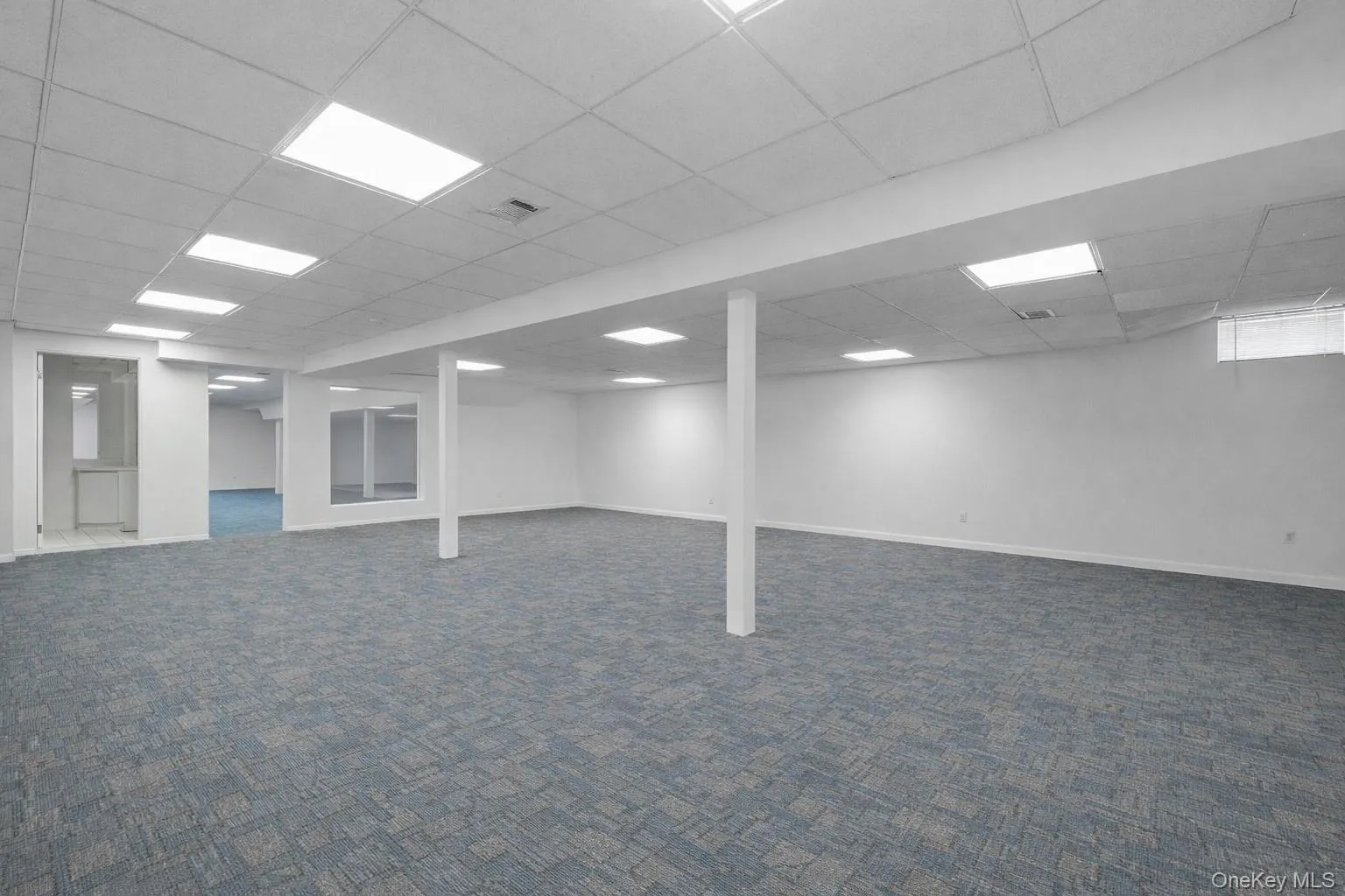 huge recreational flex space on lower level with egress window huge recreational flex space on lower level with egress window