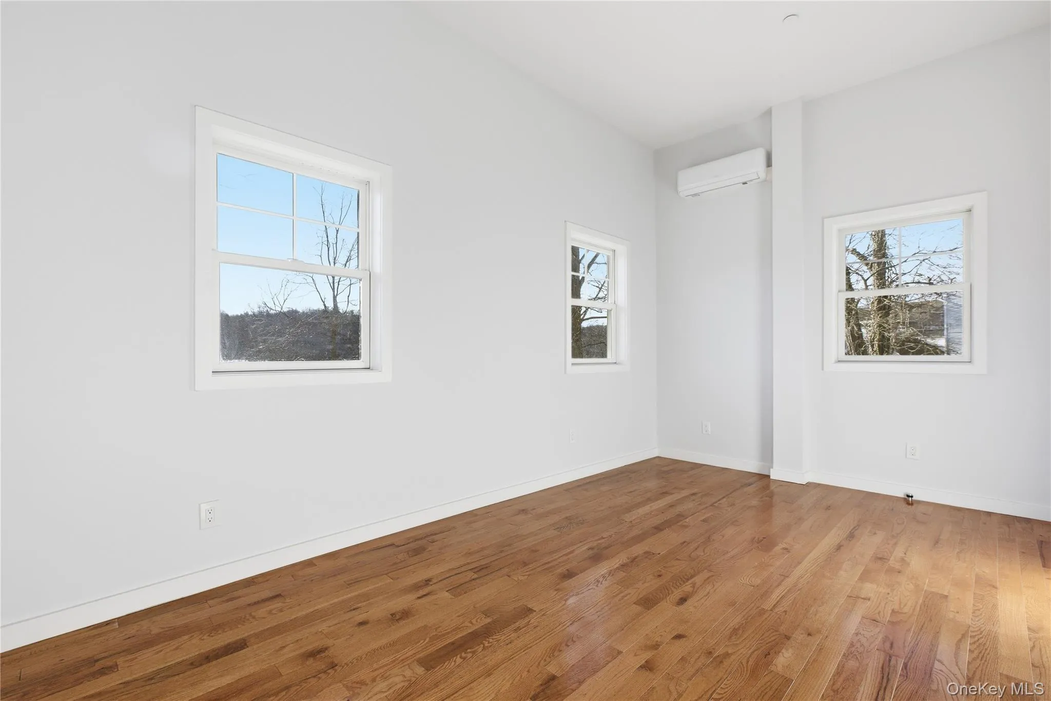 Living room with hardwood floors, healthy amount of natural light, and Ductless AC/Heat Living room with hardwood floors, healthy amount of natural light, and Ductless AC/Heat